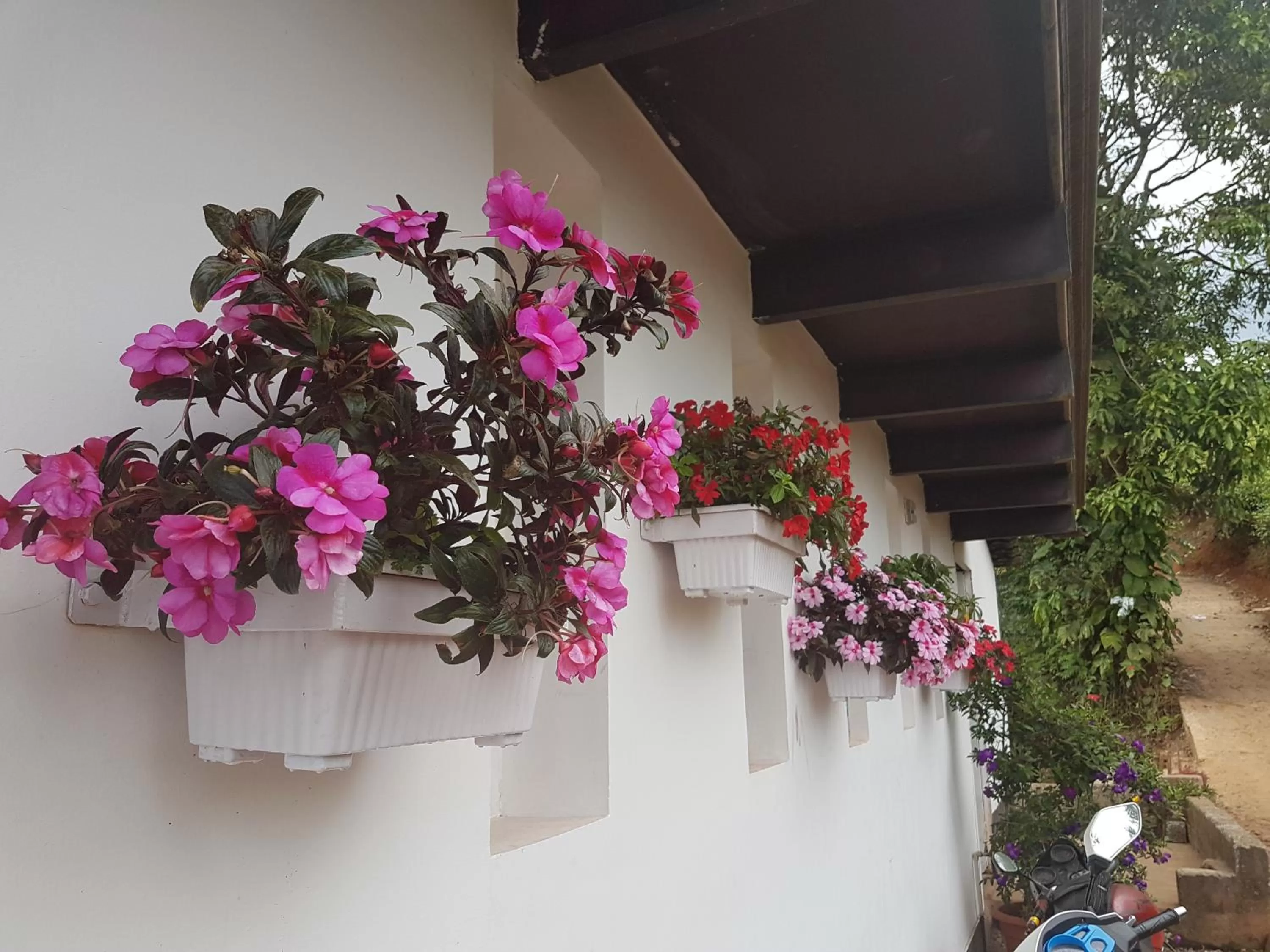 Garden in Gruenberg Tea Plantation Haus