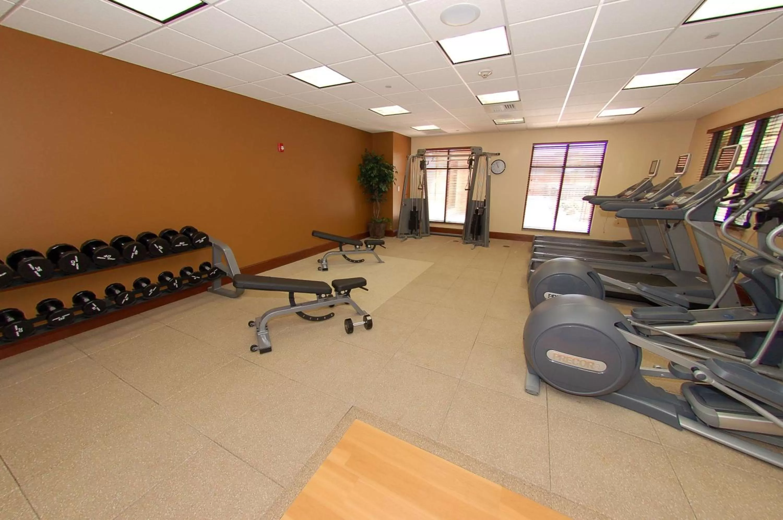 Fitness centre/facilities in Hilton Garden Inn Bowling Green