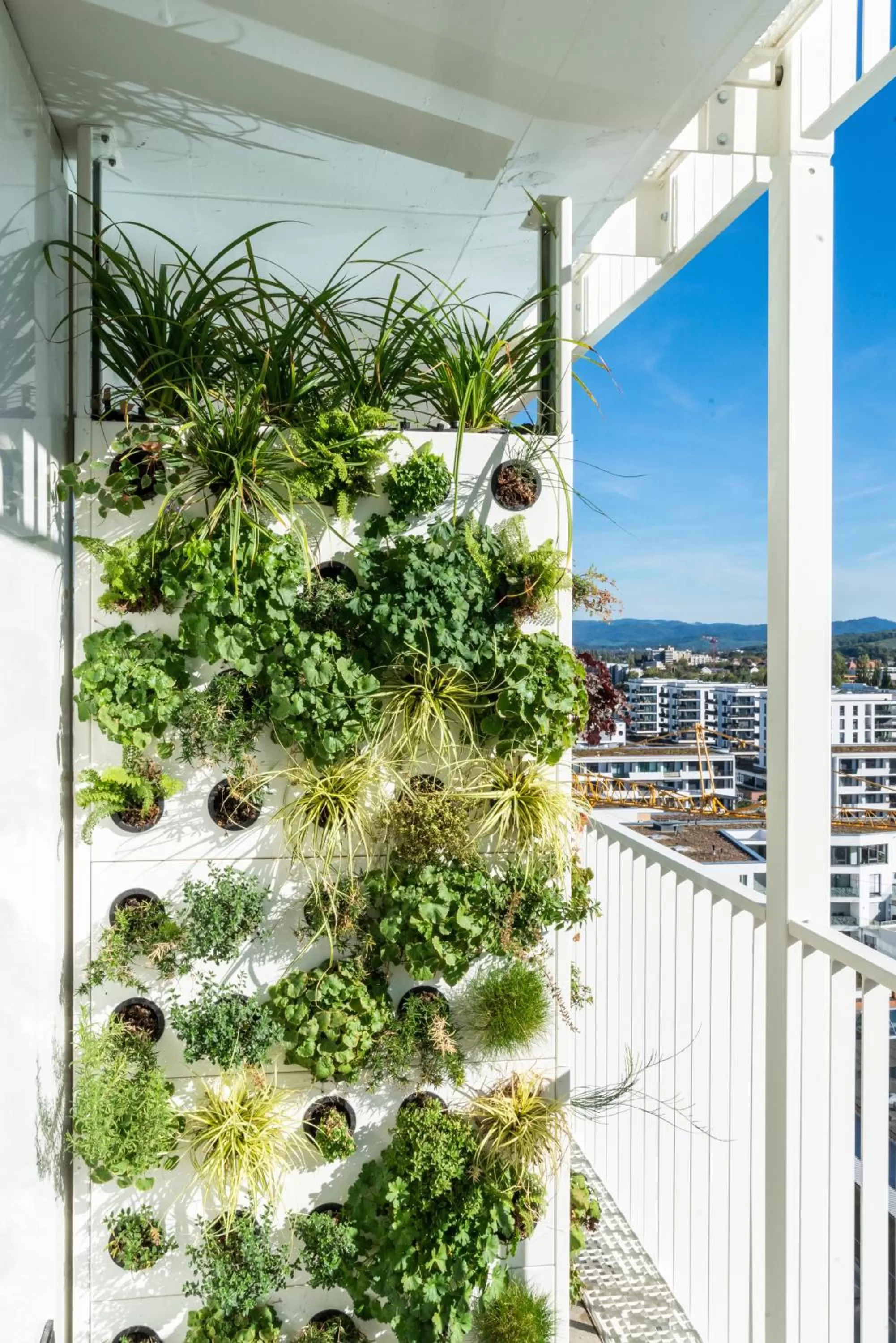 Balcony/Terrace in Black F Tower - Serviced Apartments