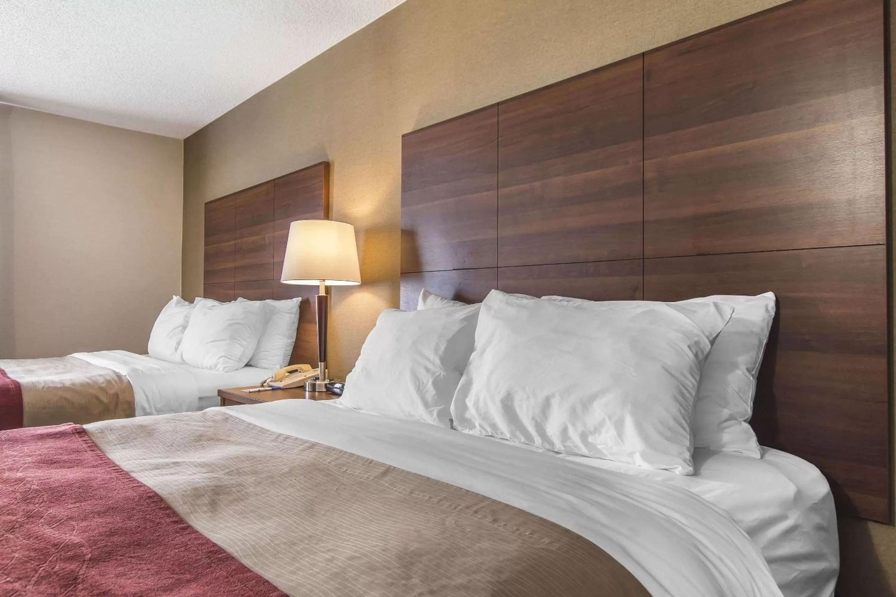 Photo of the whole room, Bed in Comfort Inn