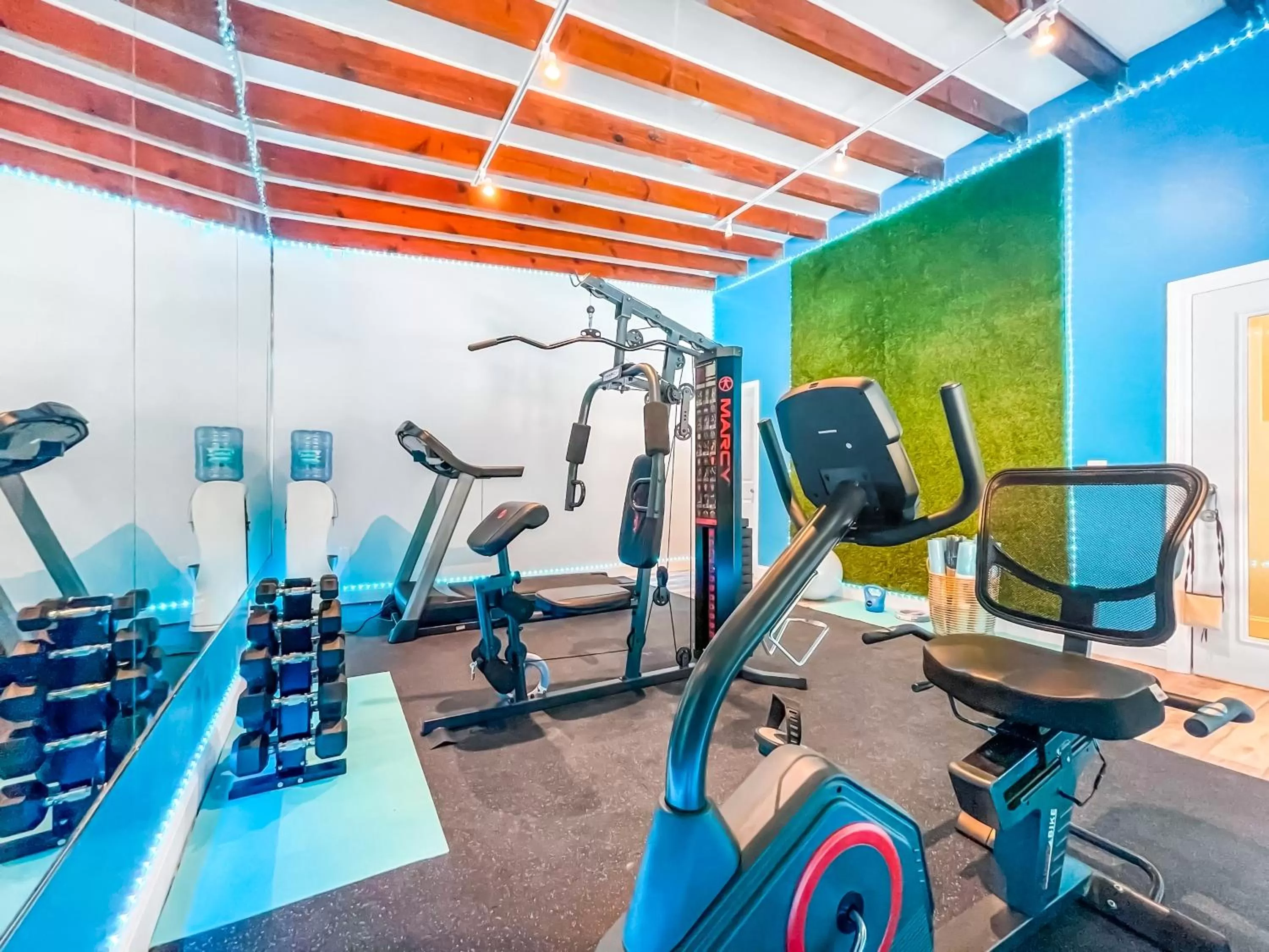 Fitness centre/facilities in The Oasis
