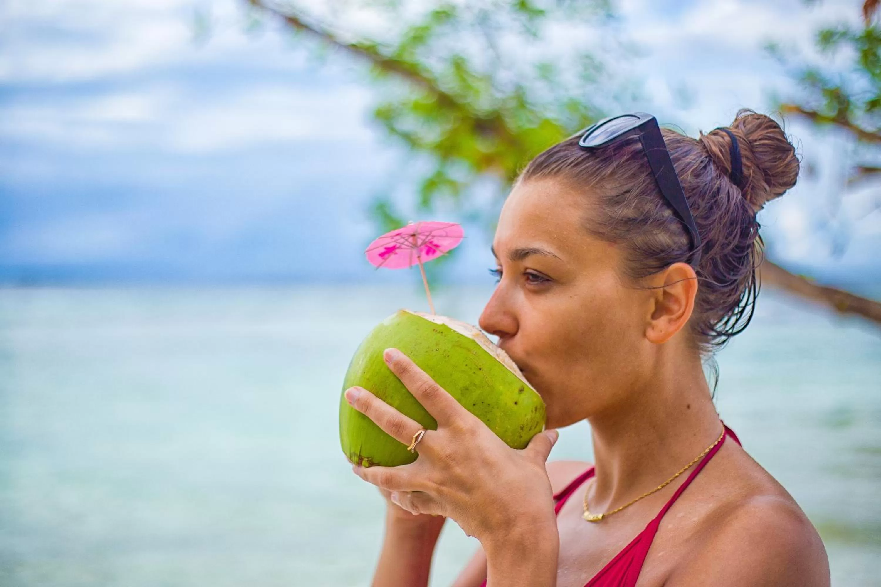 Guests in Wild Orchid