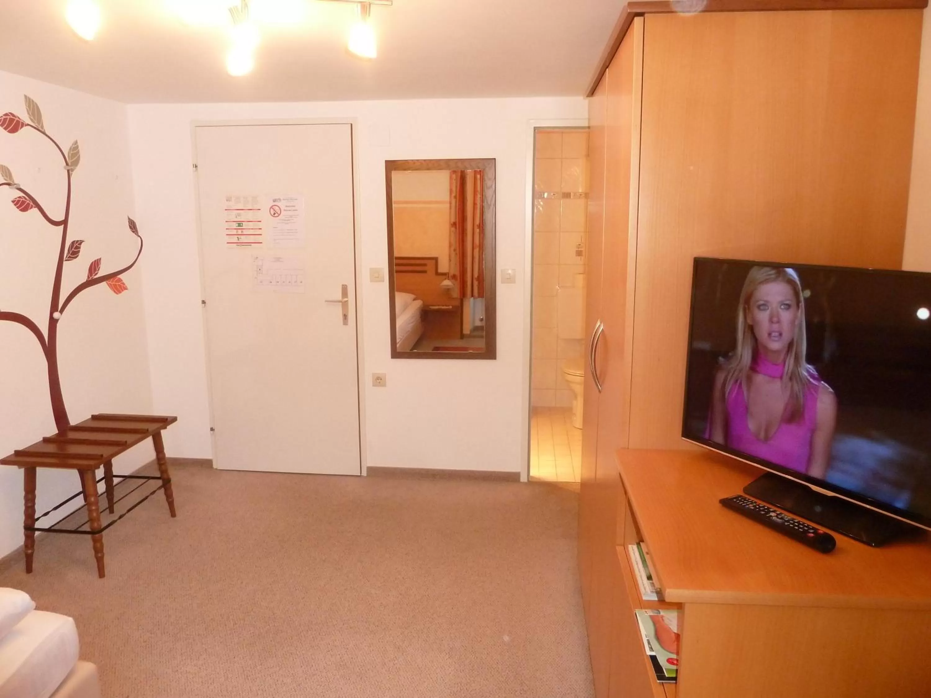 TV/Entertainment Center in Gasthof Eisentor