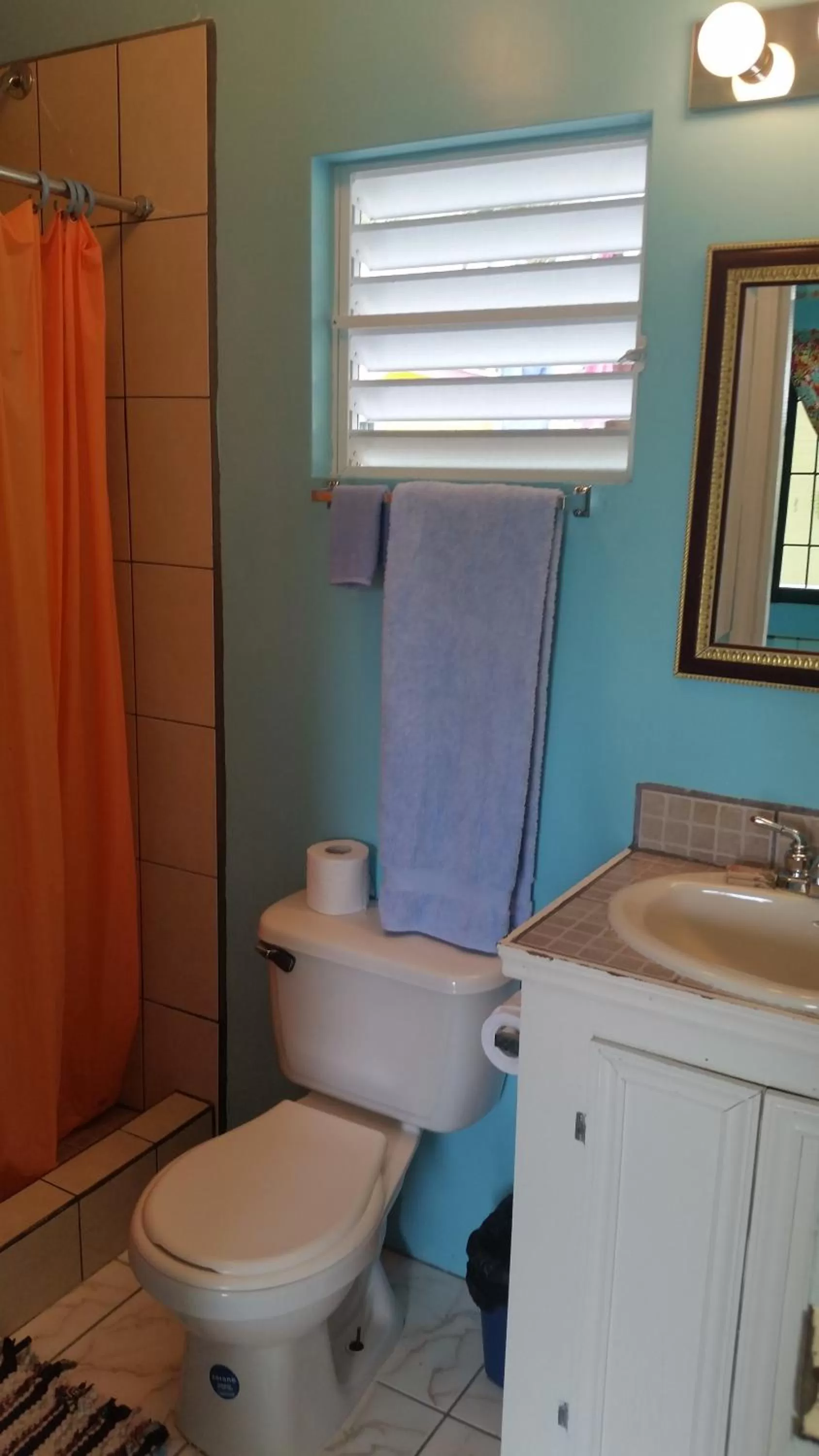 Bathroom in Barefoot Beach Belize