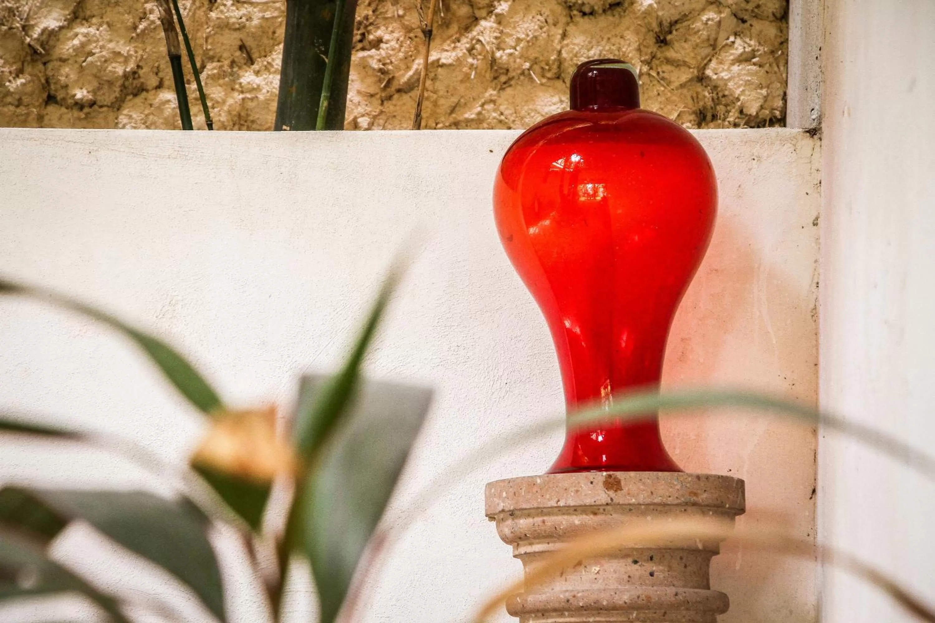 Off site in Corazon De Jade Tulum