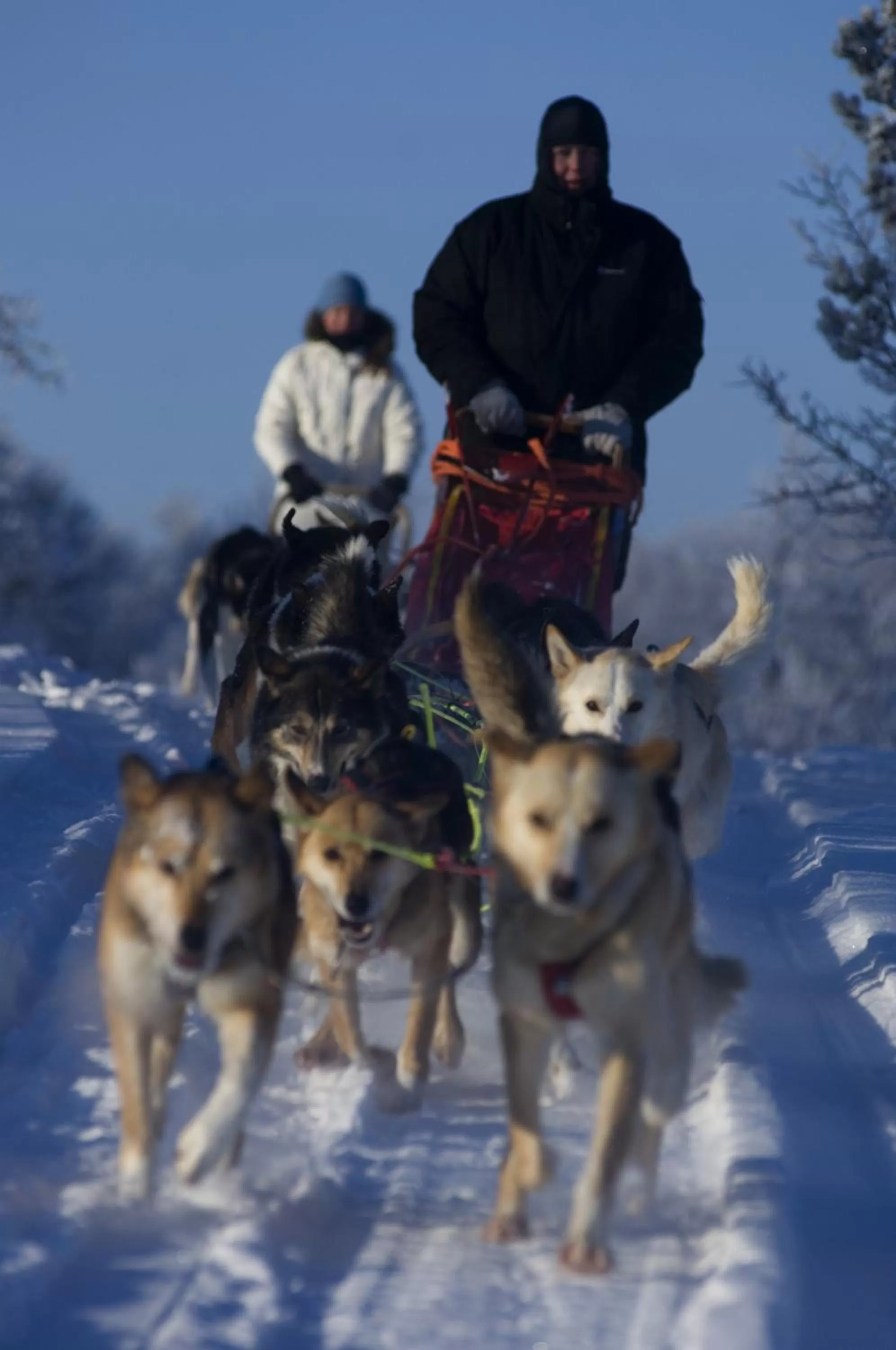 People in Bergstadens Hotel & Spa