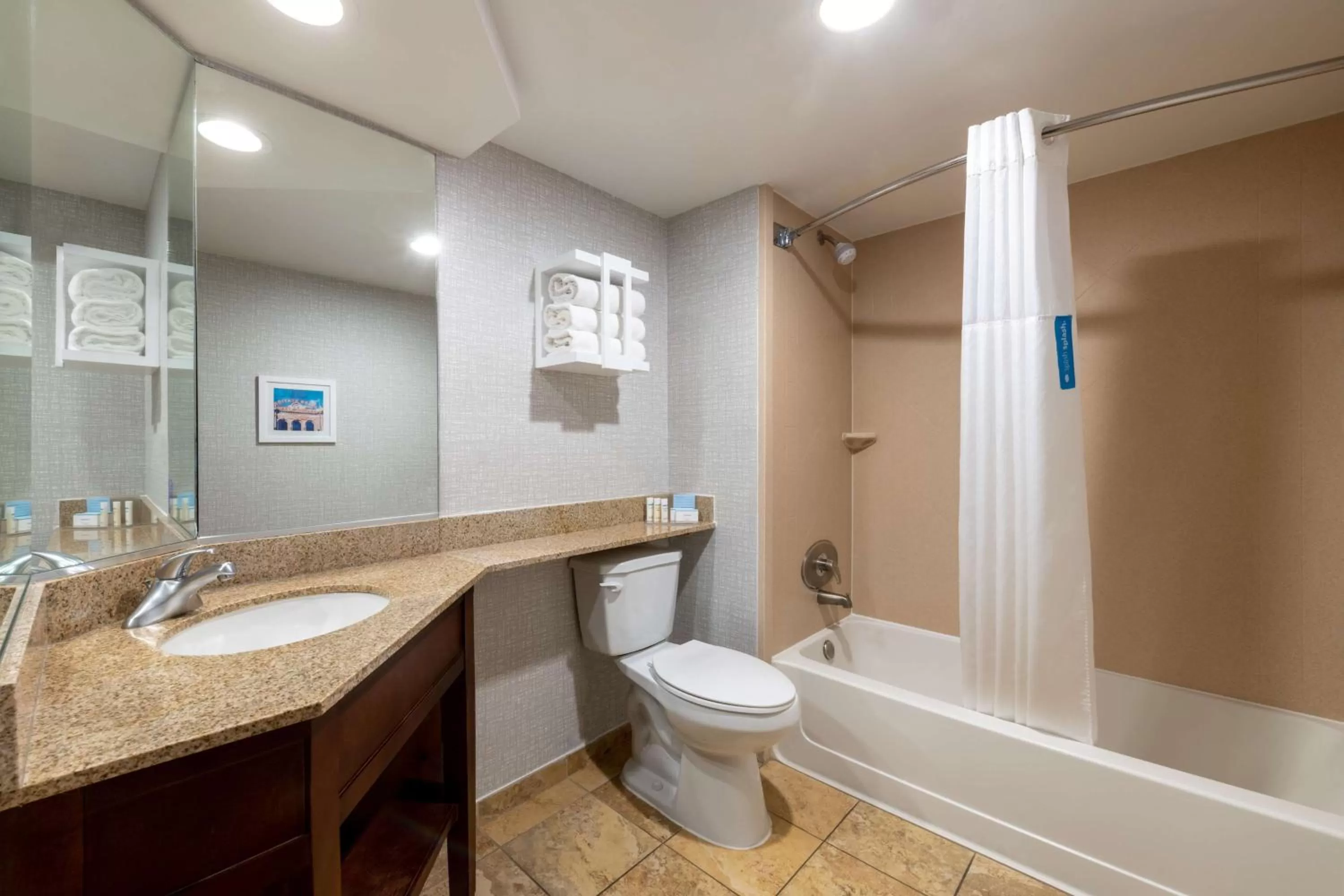 Bathroom in Hampton Inn Denver-International Airport