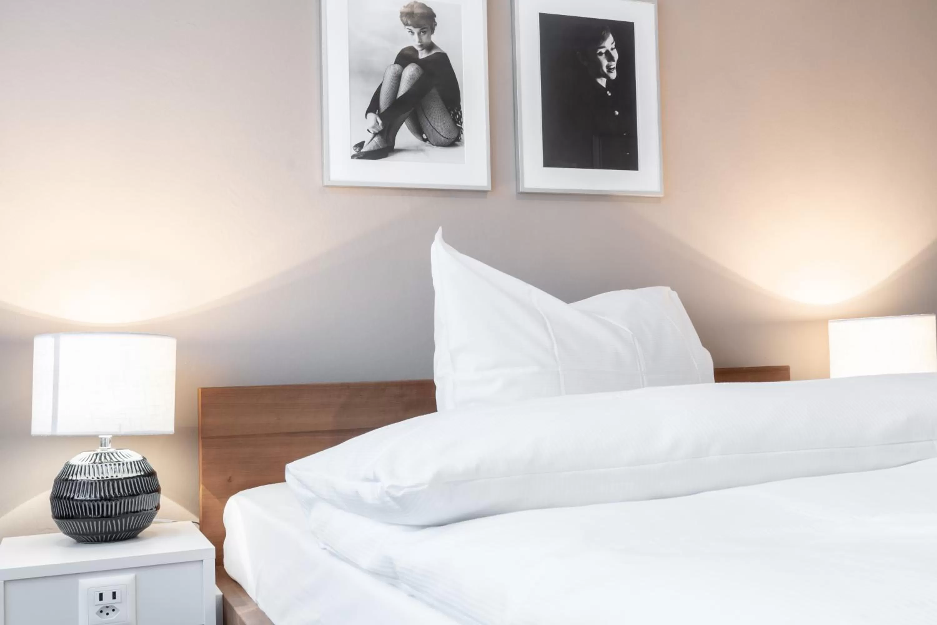 Bed in Hotel Birsighof Basel City Center