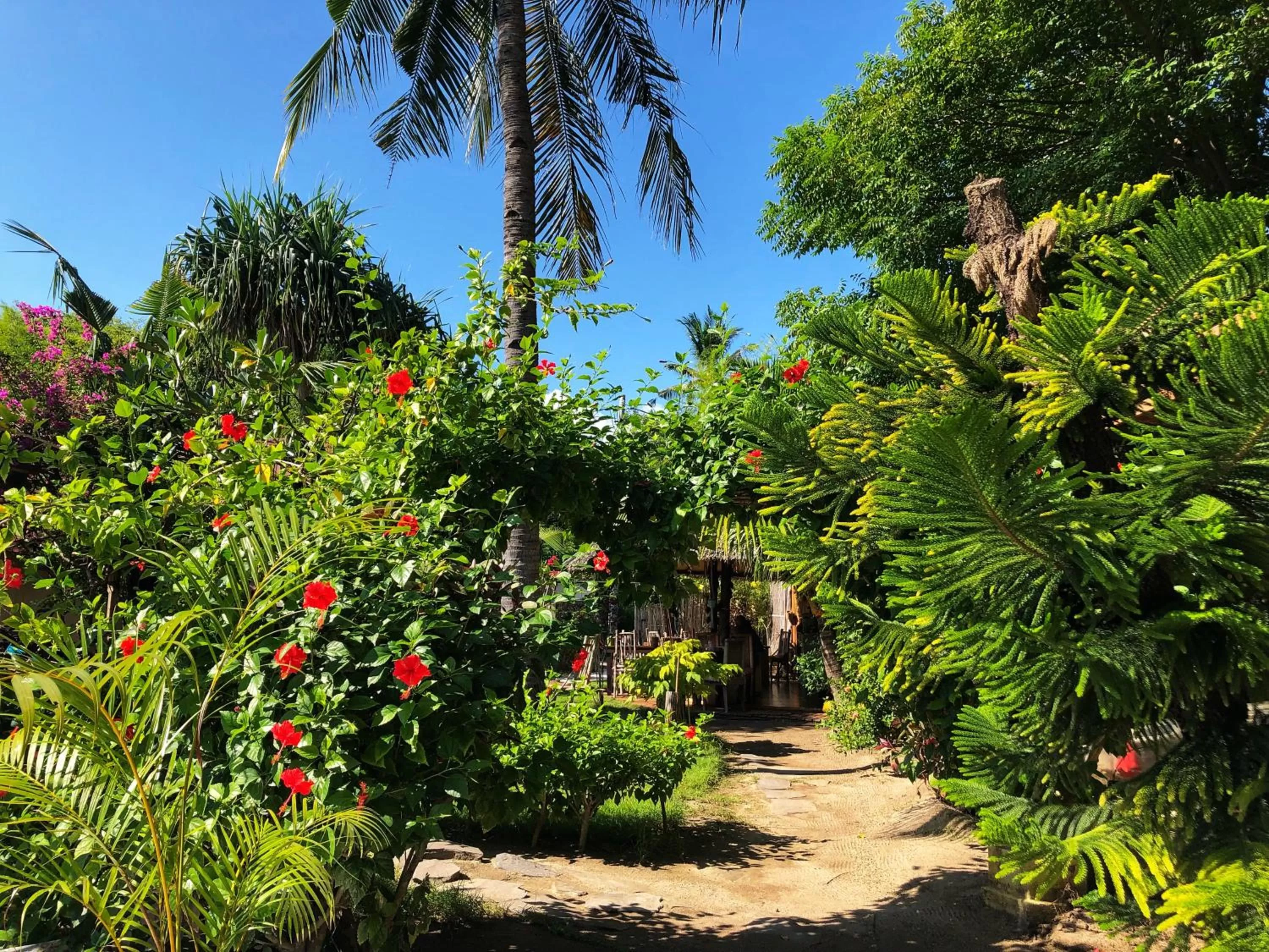 Garden view, Garden in Meno Dream Resort