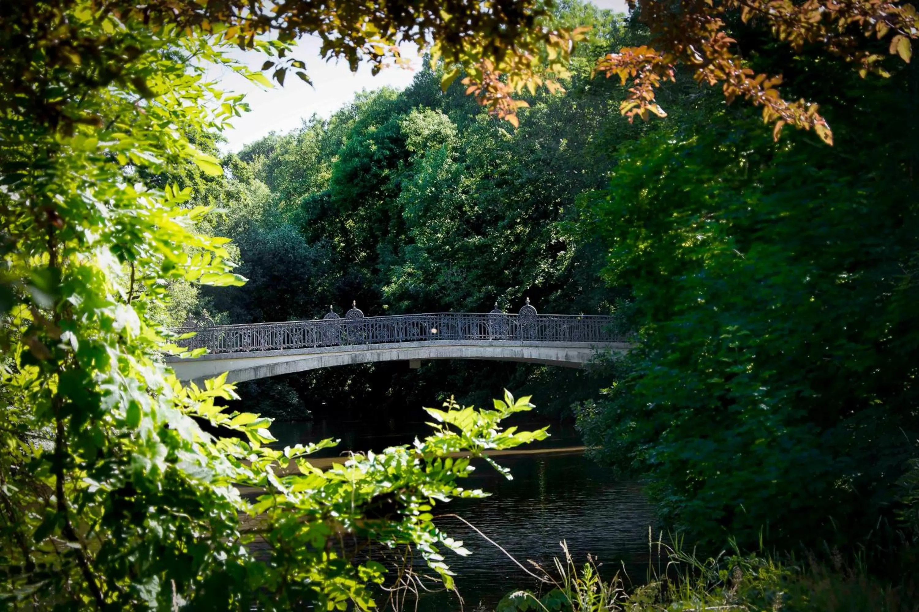 Natural landscape in Lindenau Inn