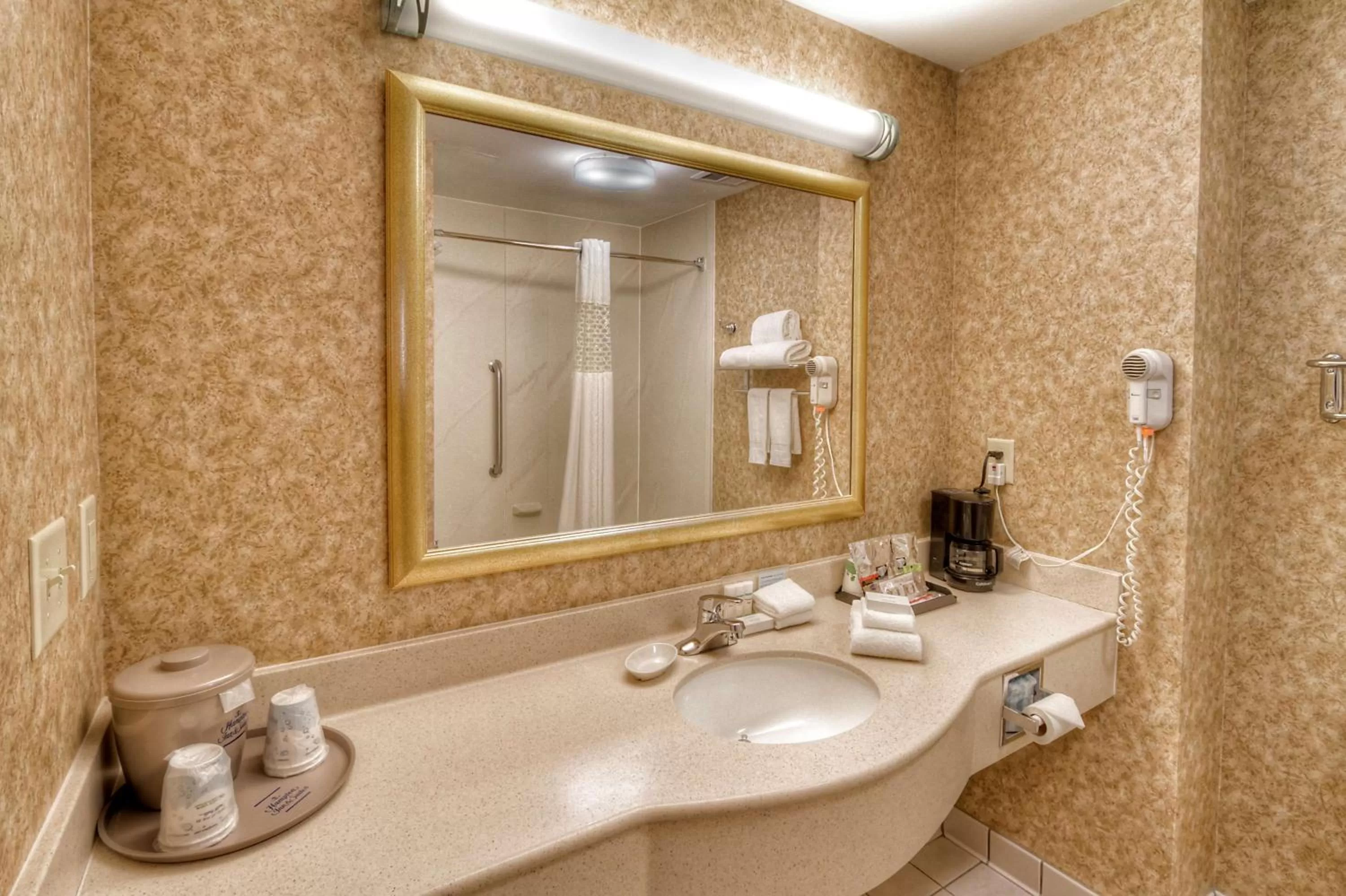 Bathroom in Hampton Inn & Suites Kalamazoo-Oshtemo