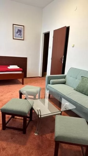 Seating Area in Hotel Bothe