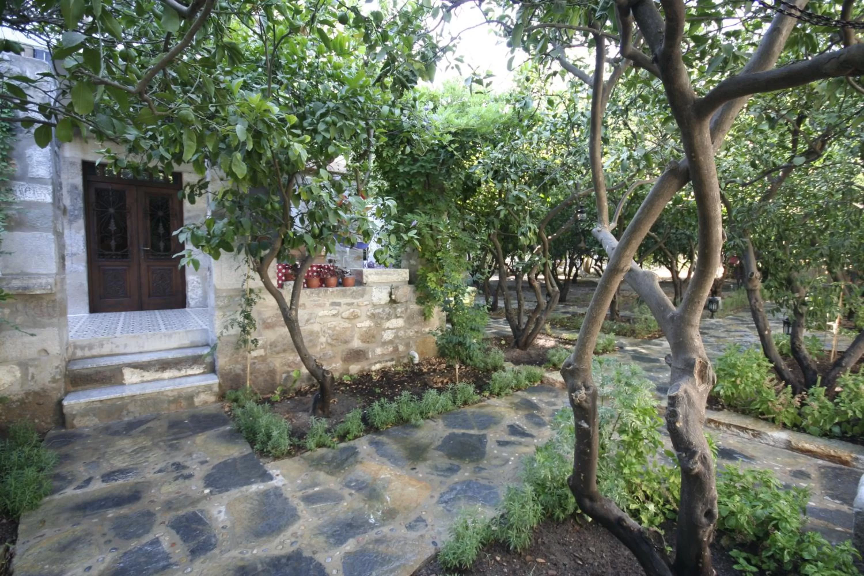 Garden in Ha La Bodrum