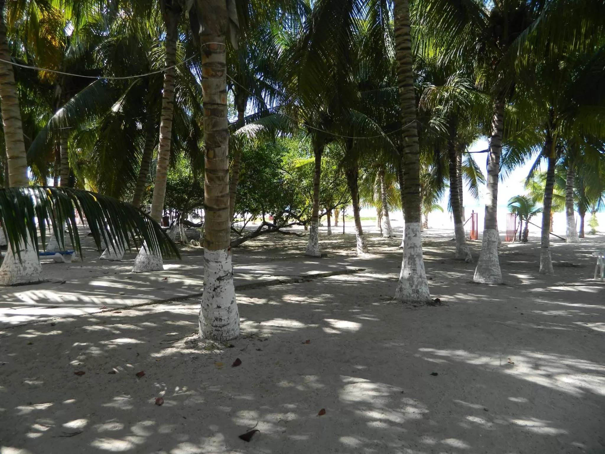 Cabañas Camping Ria Celestun