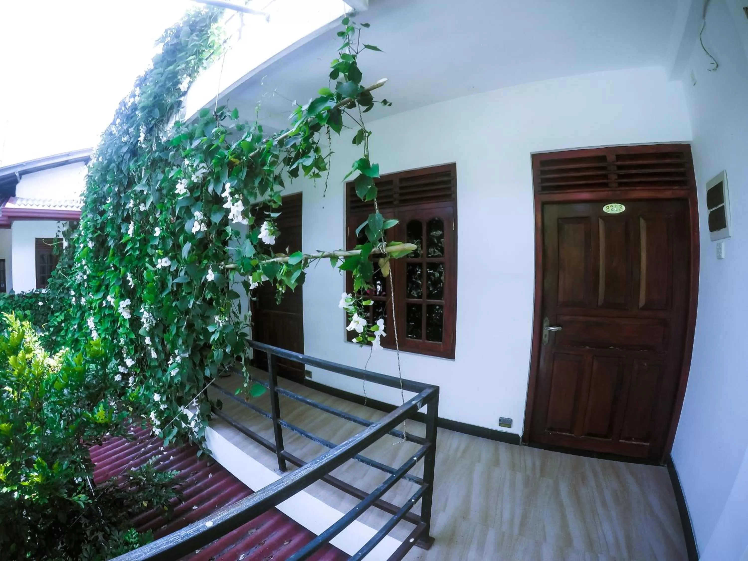 View (from property/room) in Mirissa Blue Whale Holiday Hotel