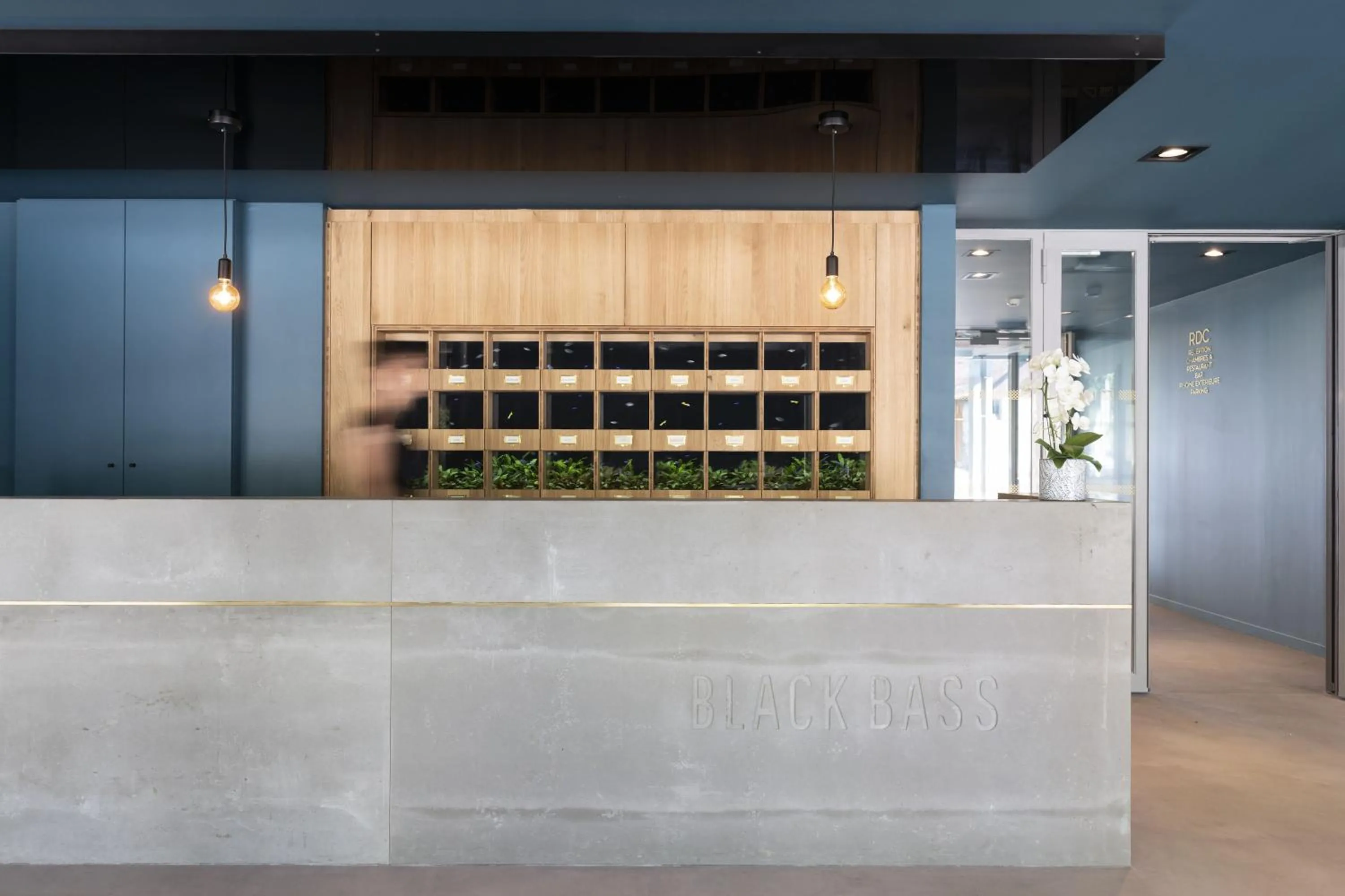 Lobby or reception in Black Bass Hotel