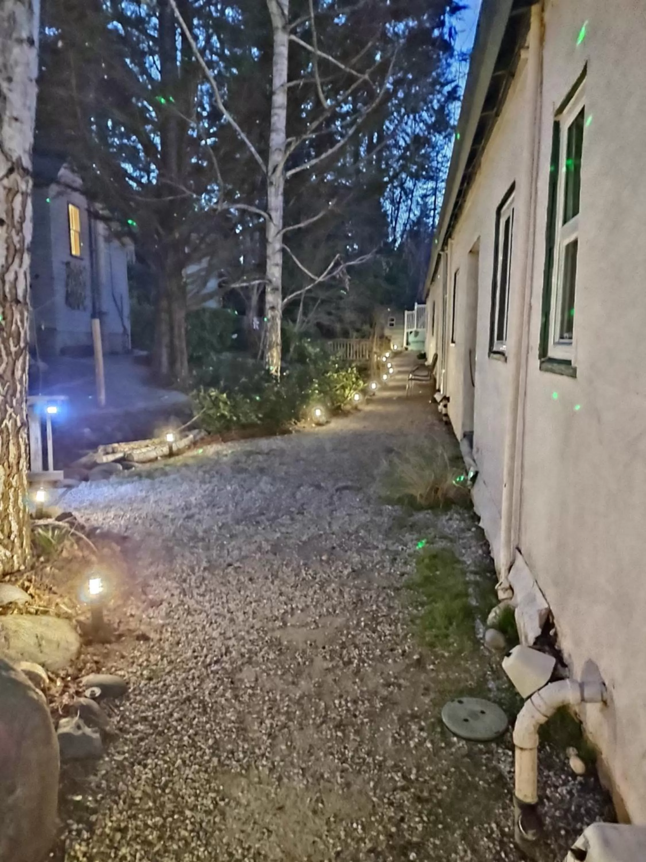 Garden view in Outside Inn