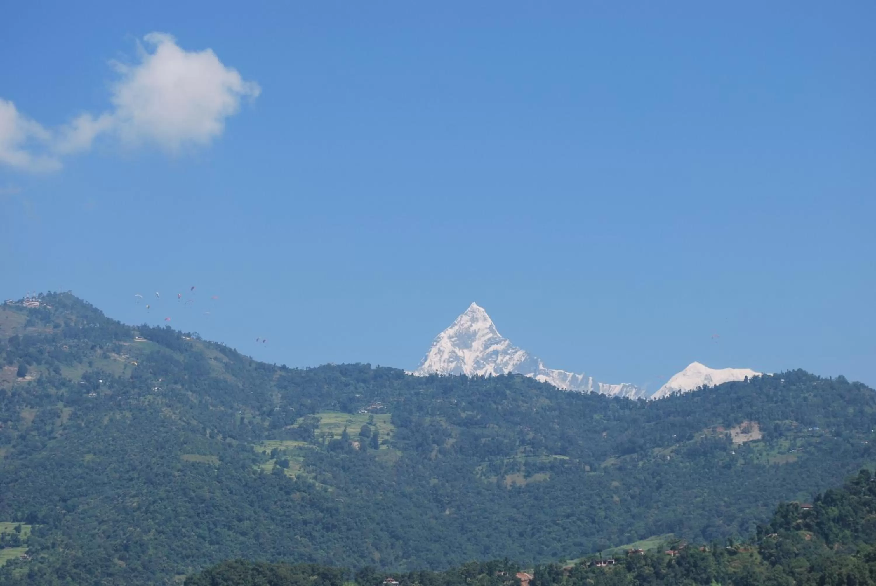 View (from property/room) in Butterfly Lodge