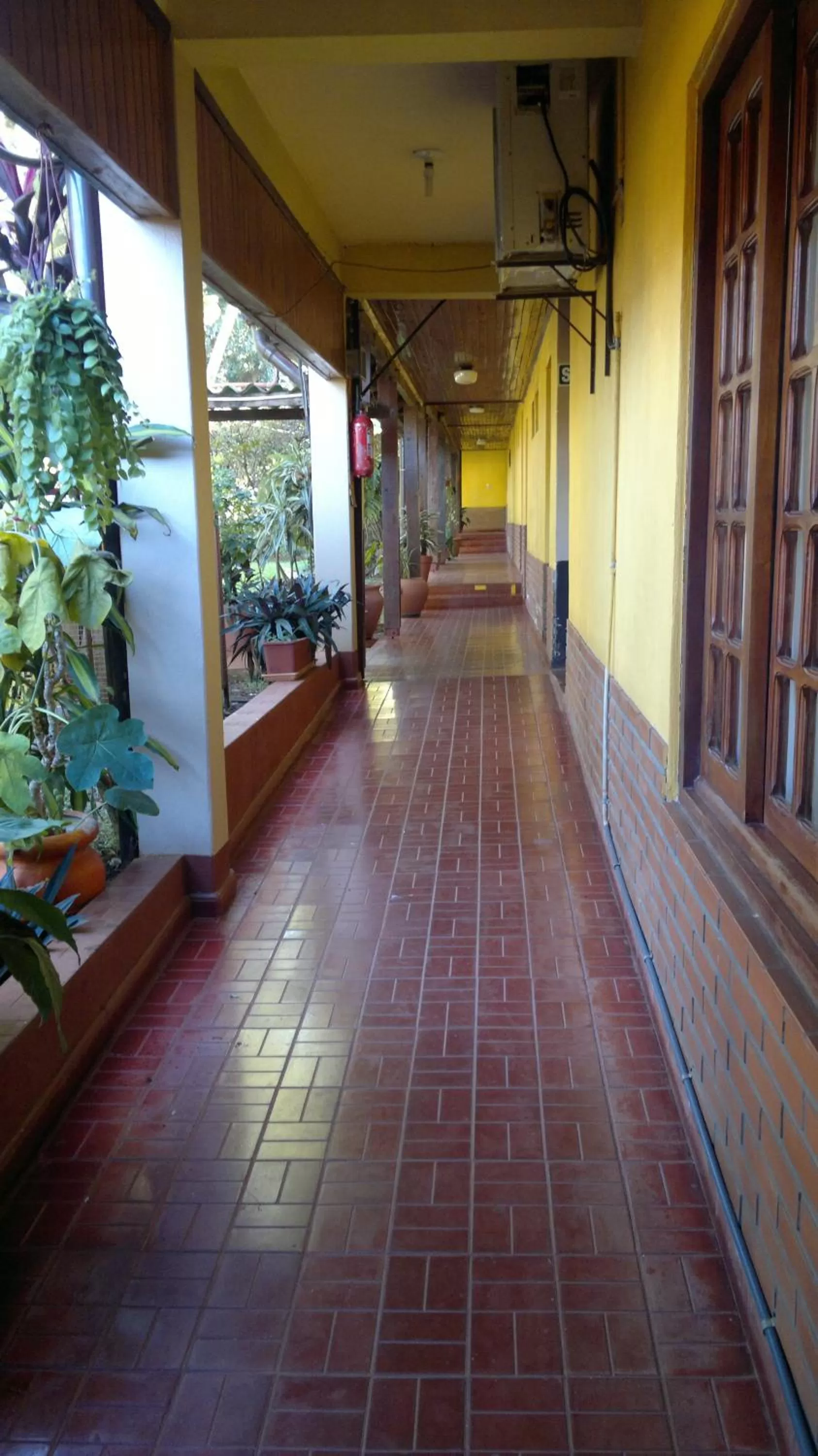 Patio in Hosteria Los Helechos