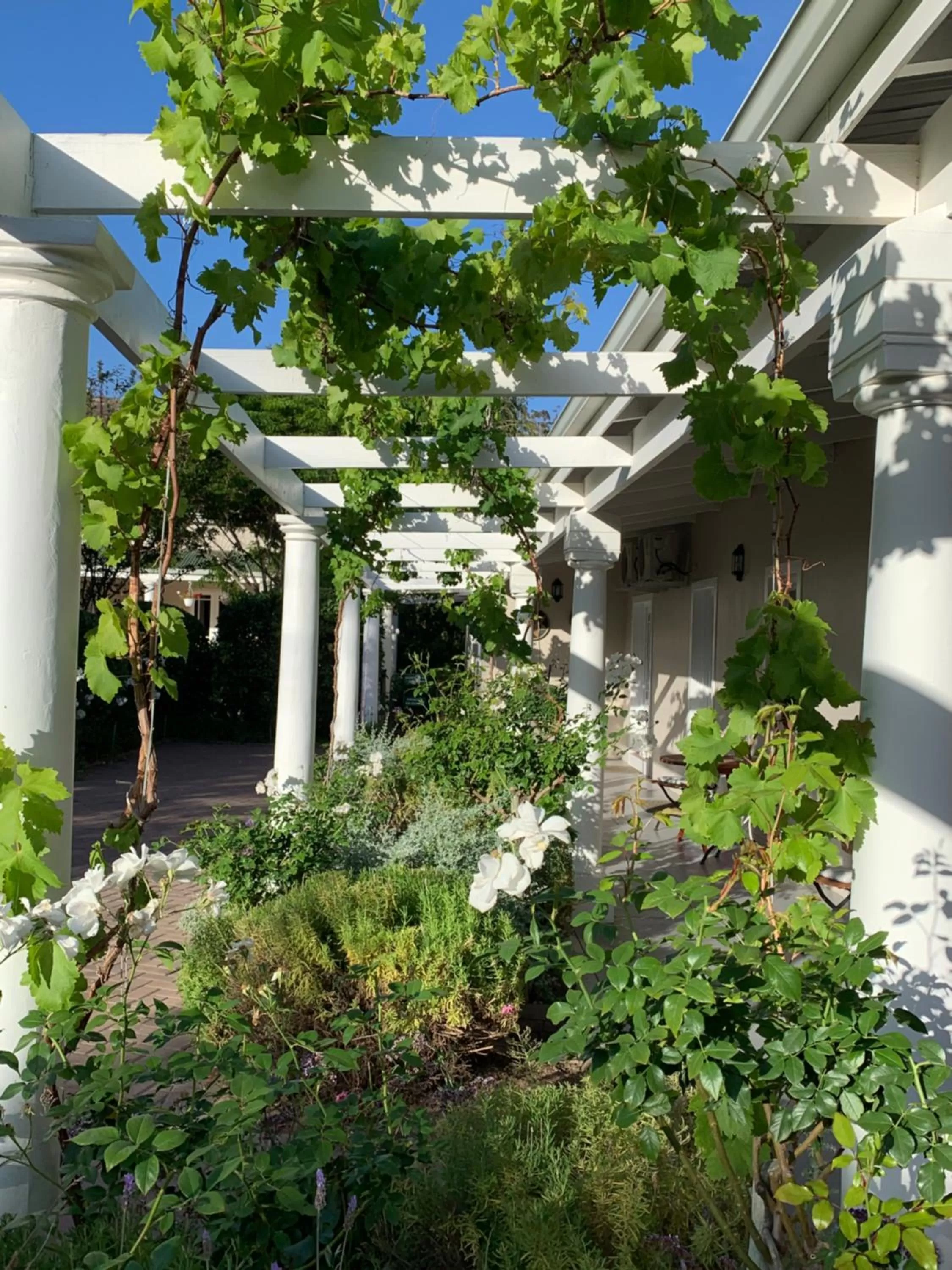 Property building in Montagu Vines Guesthouse