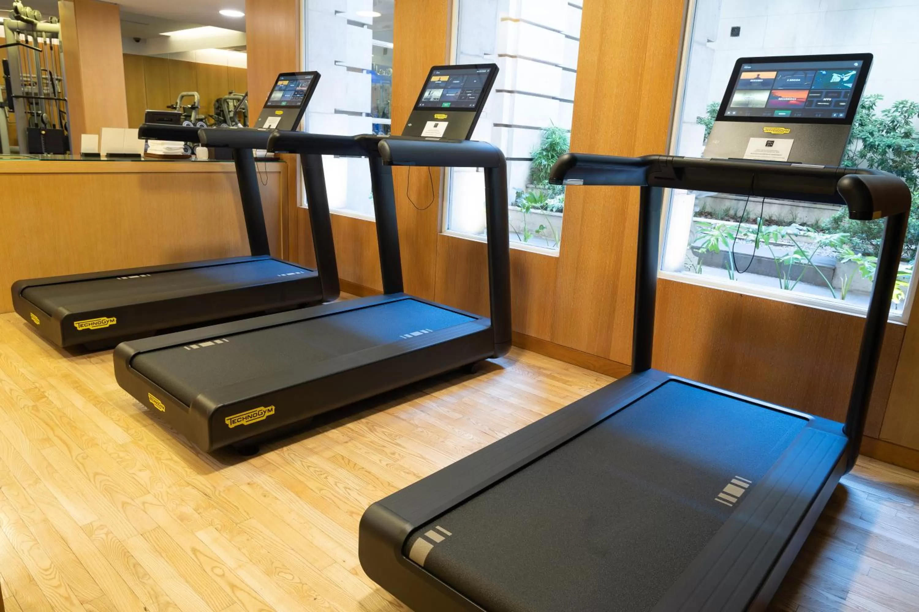 Fitness centre/facilities in Palacio Duhau - Park Hyatt Buenos Aires