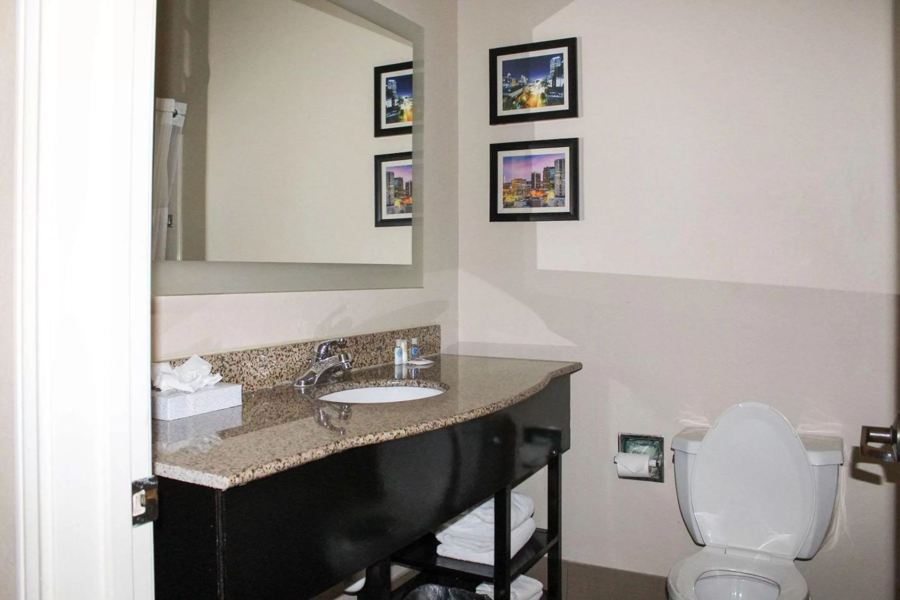 Bathroom in Comfort Inn & Suites Fultondale Gardendale I-65