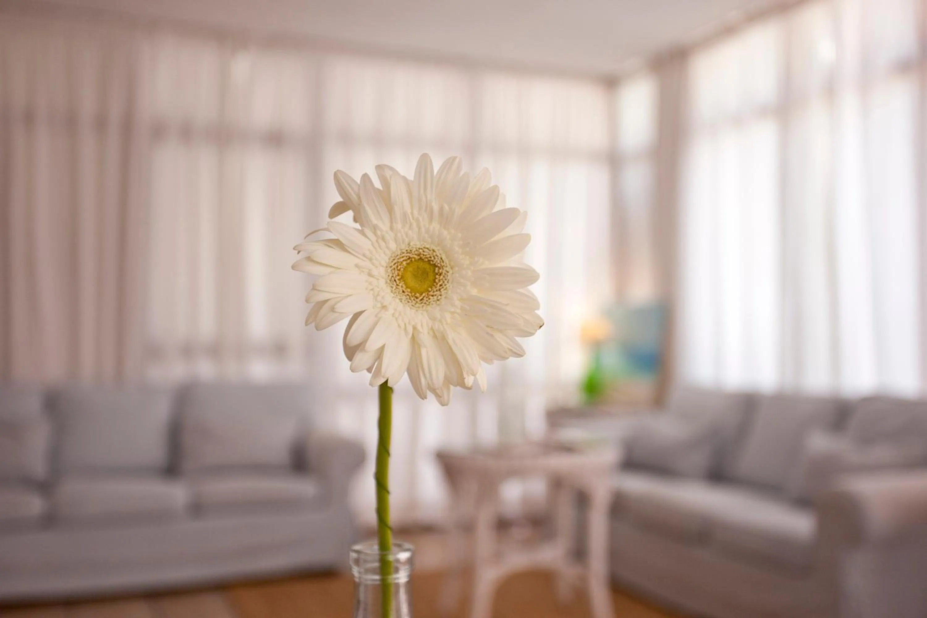 Galaxia Boutique Hotel