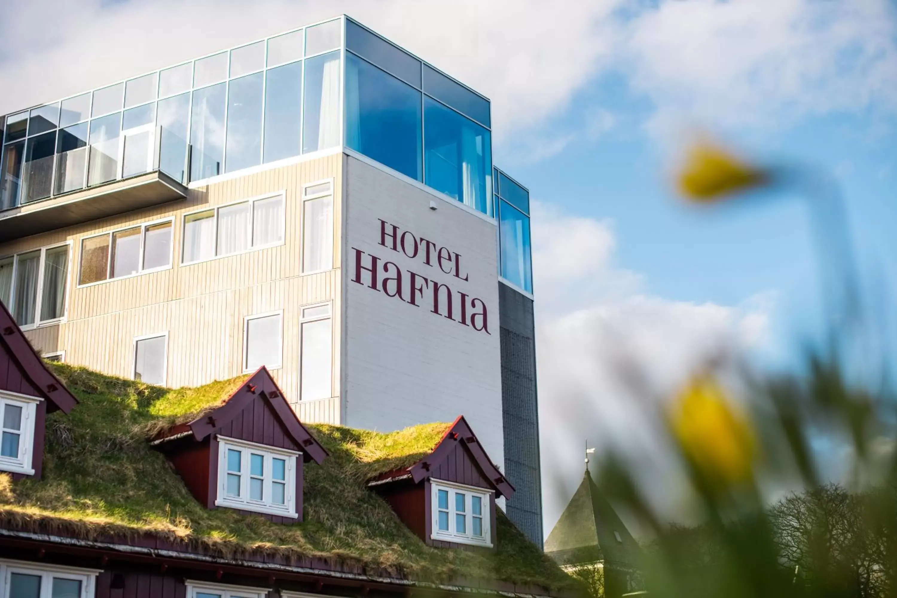 Hotel Hafnia Hotel Hafnia