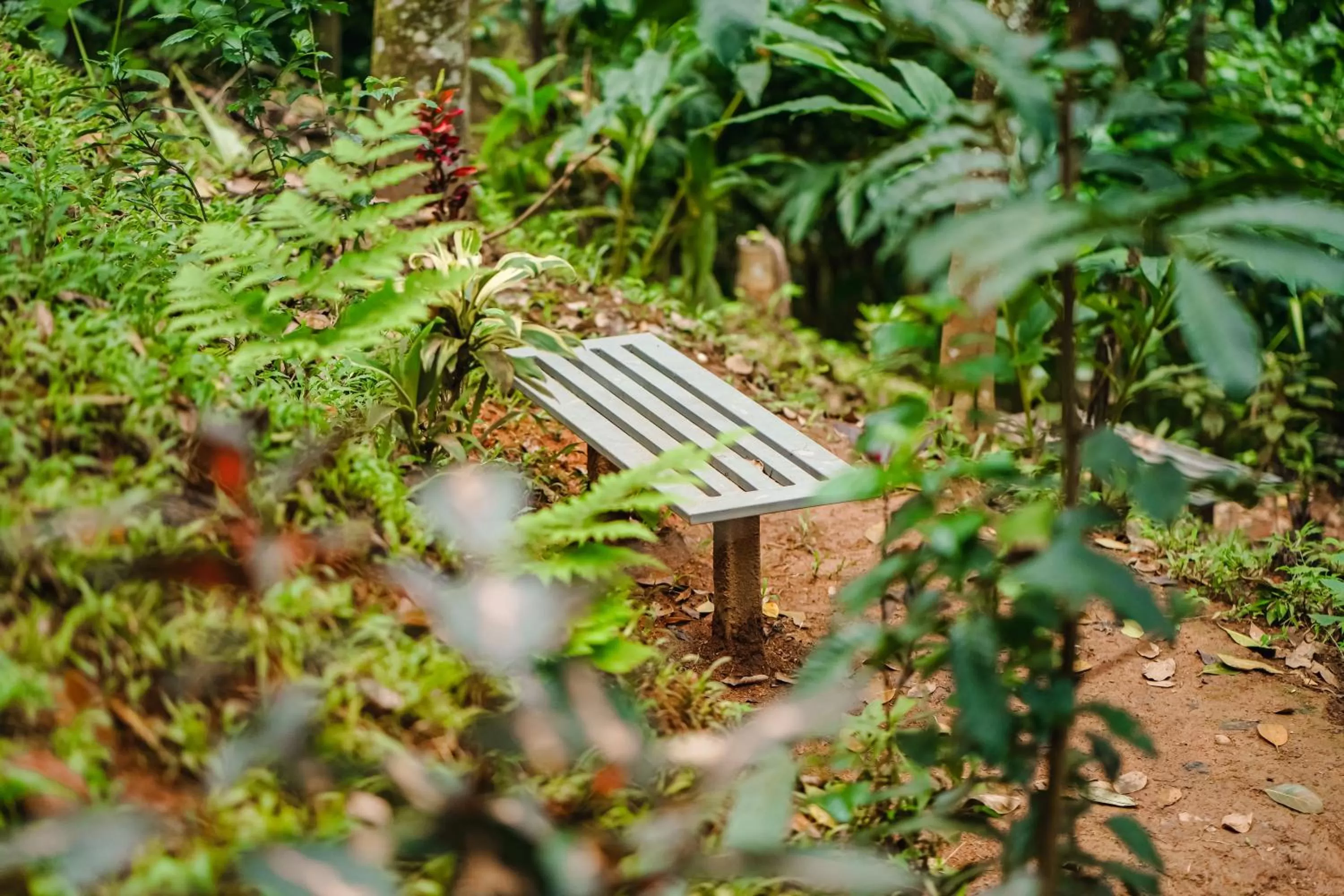 Garden in Edens Munnar