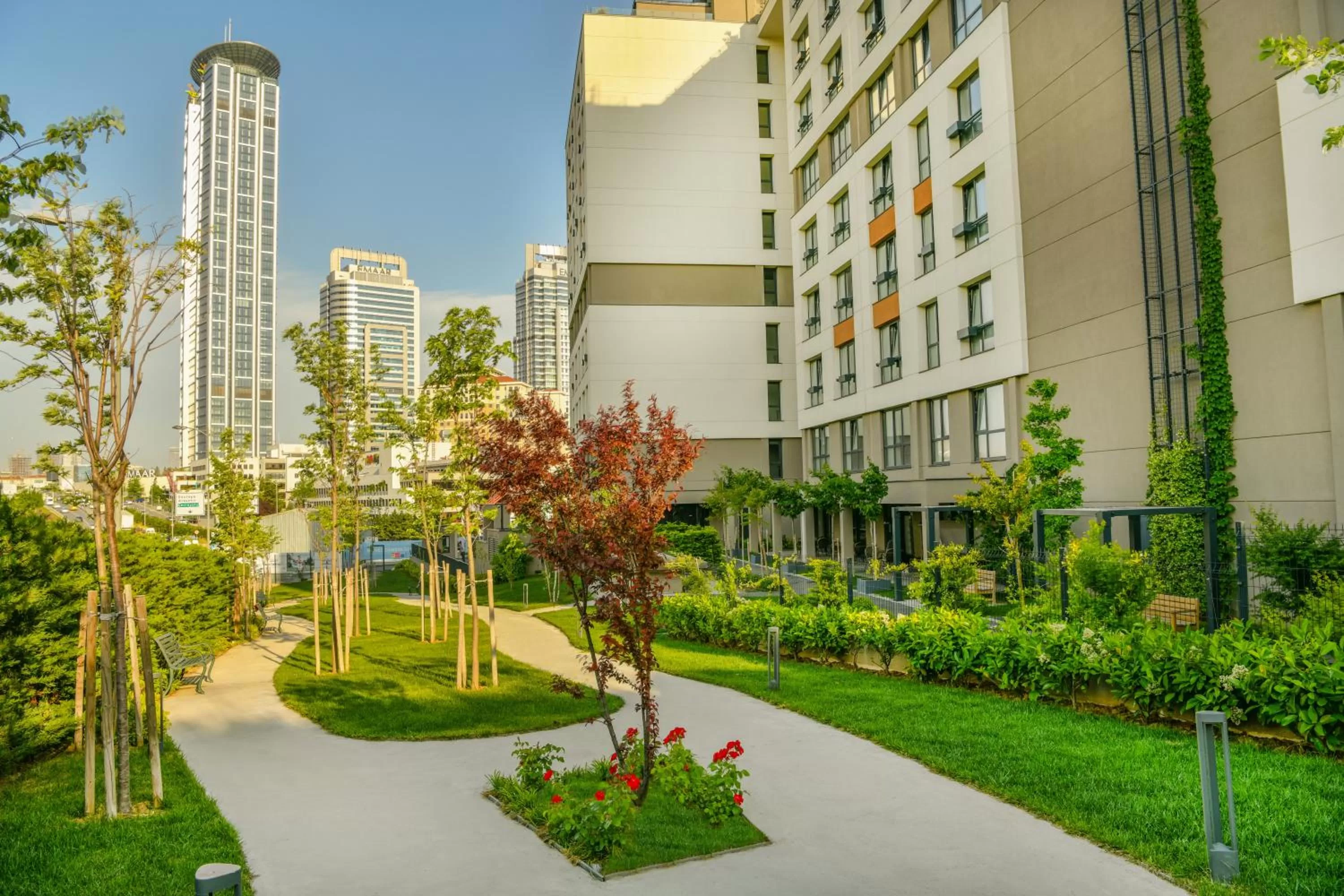 Garden in Antwell Suites