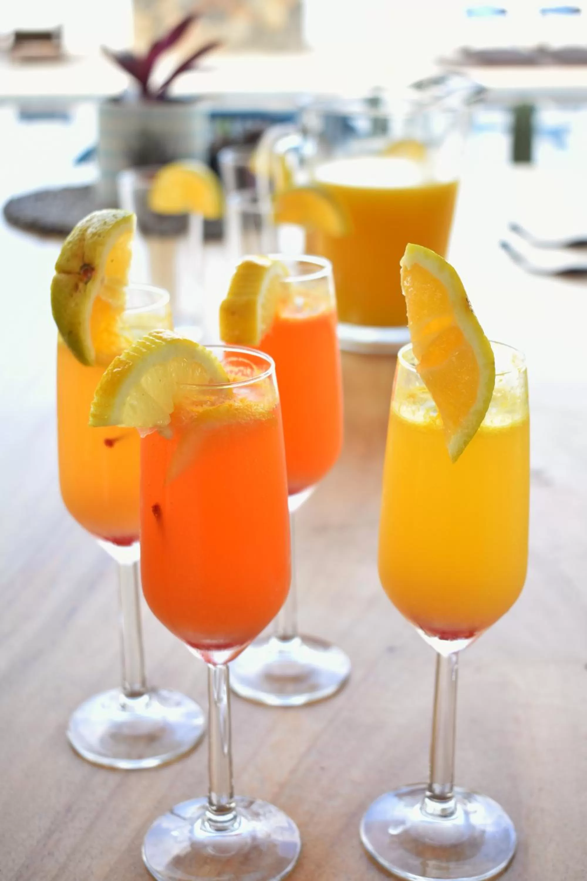 Lounge or bar, Drinks in Hotel Quinta Santa Rosa