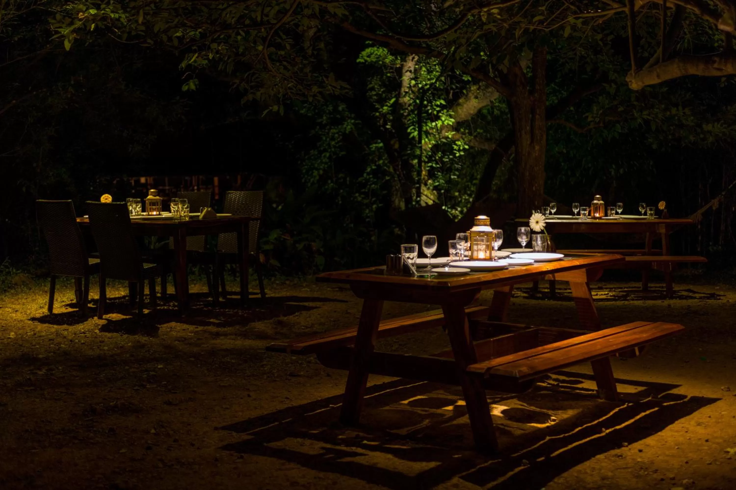 Restaurant/places to eat in The Machan