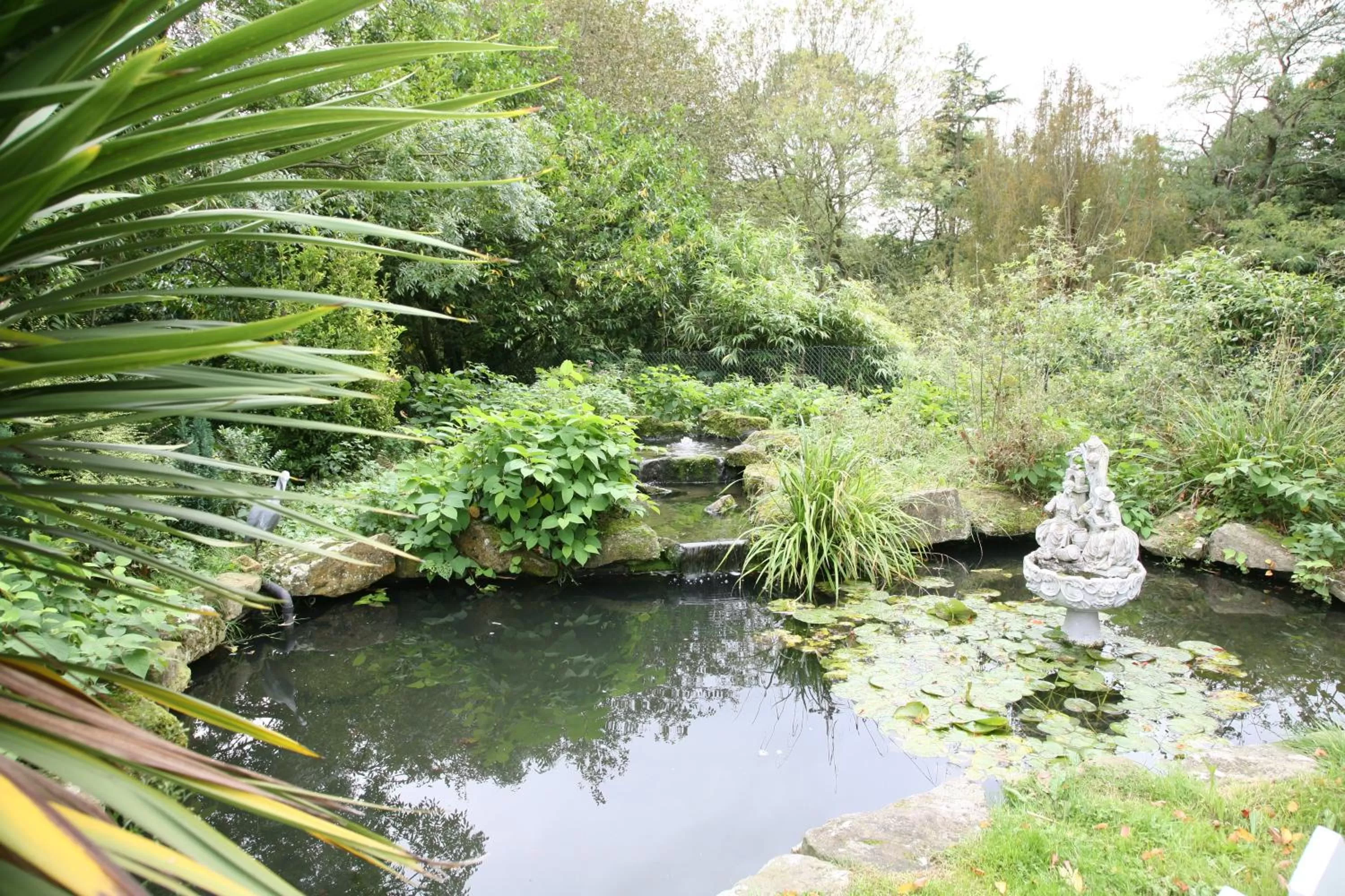 Natural landscape in De Rougemont Manor