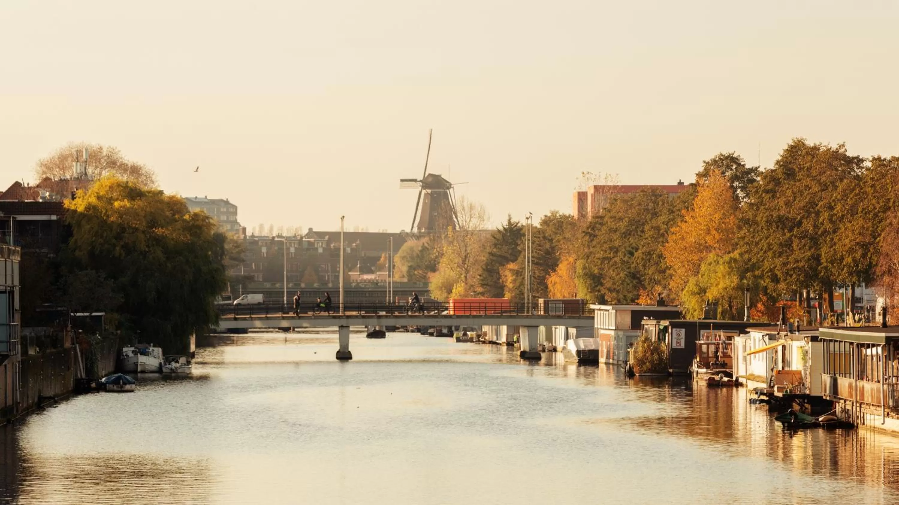 Neighbourhood in Holiday Inn - the niu, Fender Amsterdam