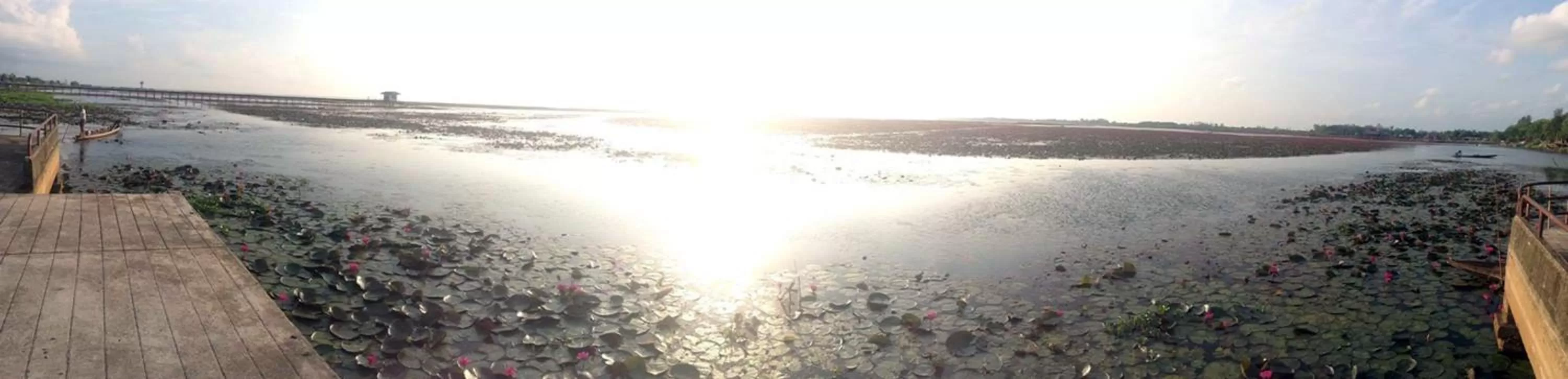 Neighbourhood in Chuanchom Resort