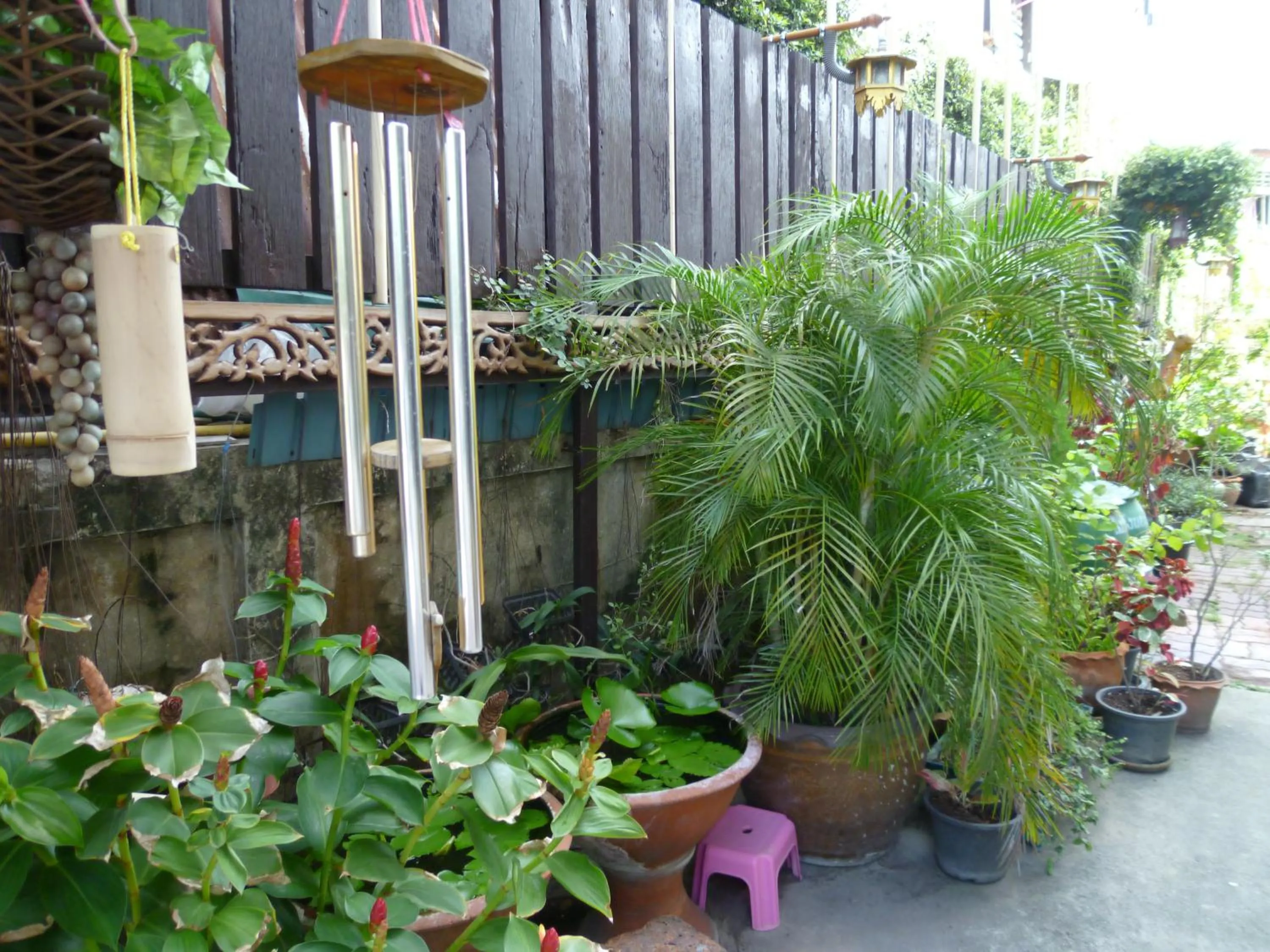 Natural landscape in Vanlisut Hotel Ngamwongwan