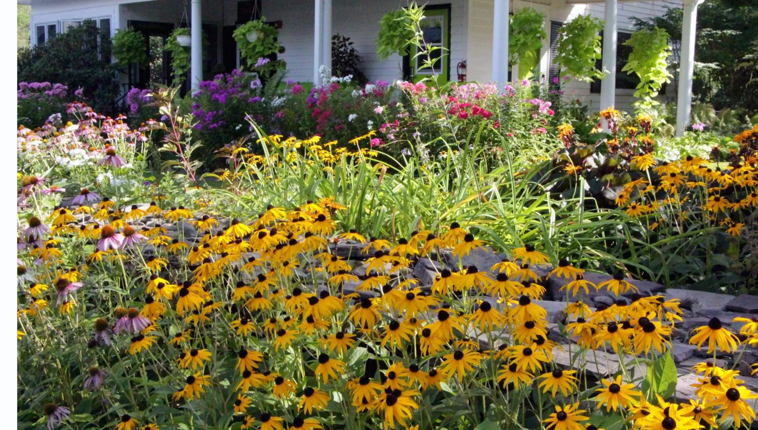 Property building in The Roxbury