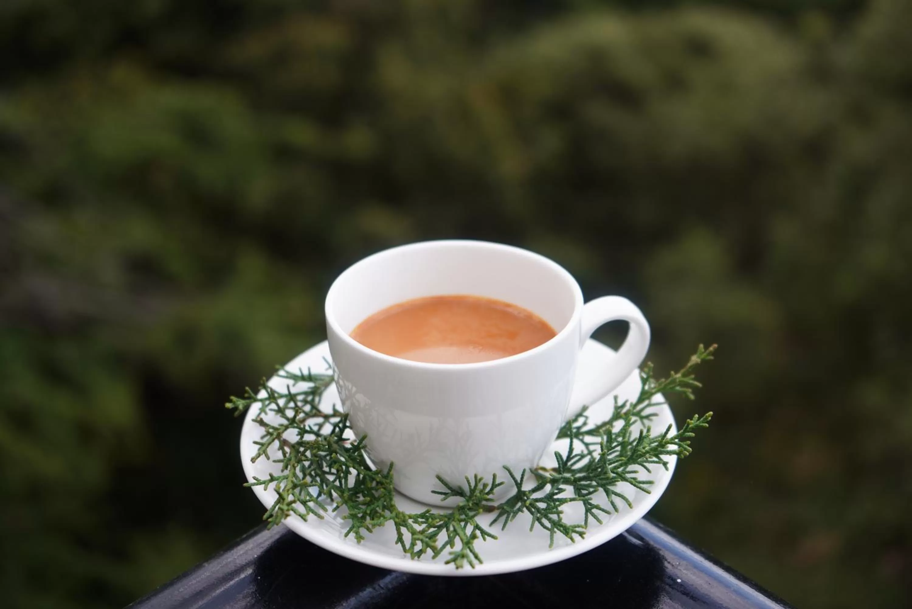 Breakfast in Jakhu Vibes