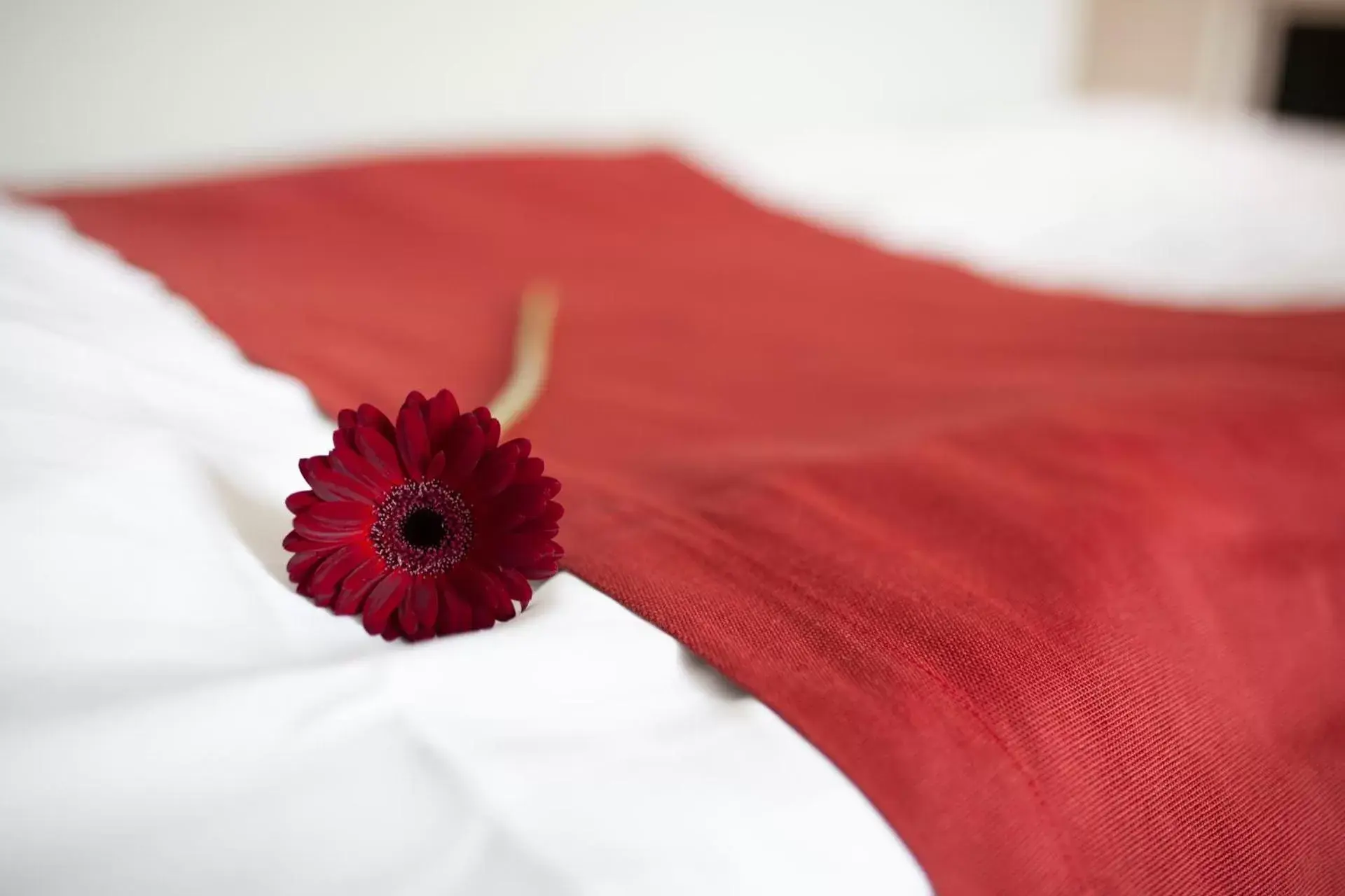 Studio Apartment in Strandnäs Hotell Studio Apartment in Strandnäs Hotell