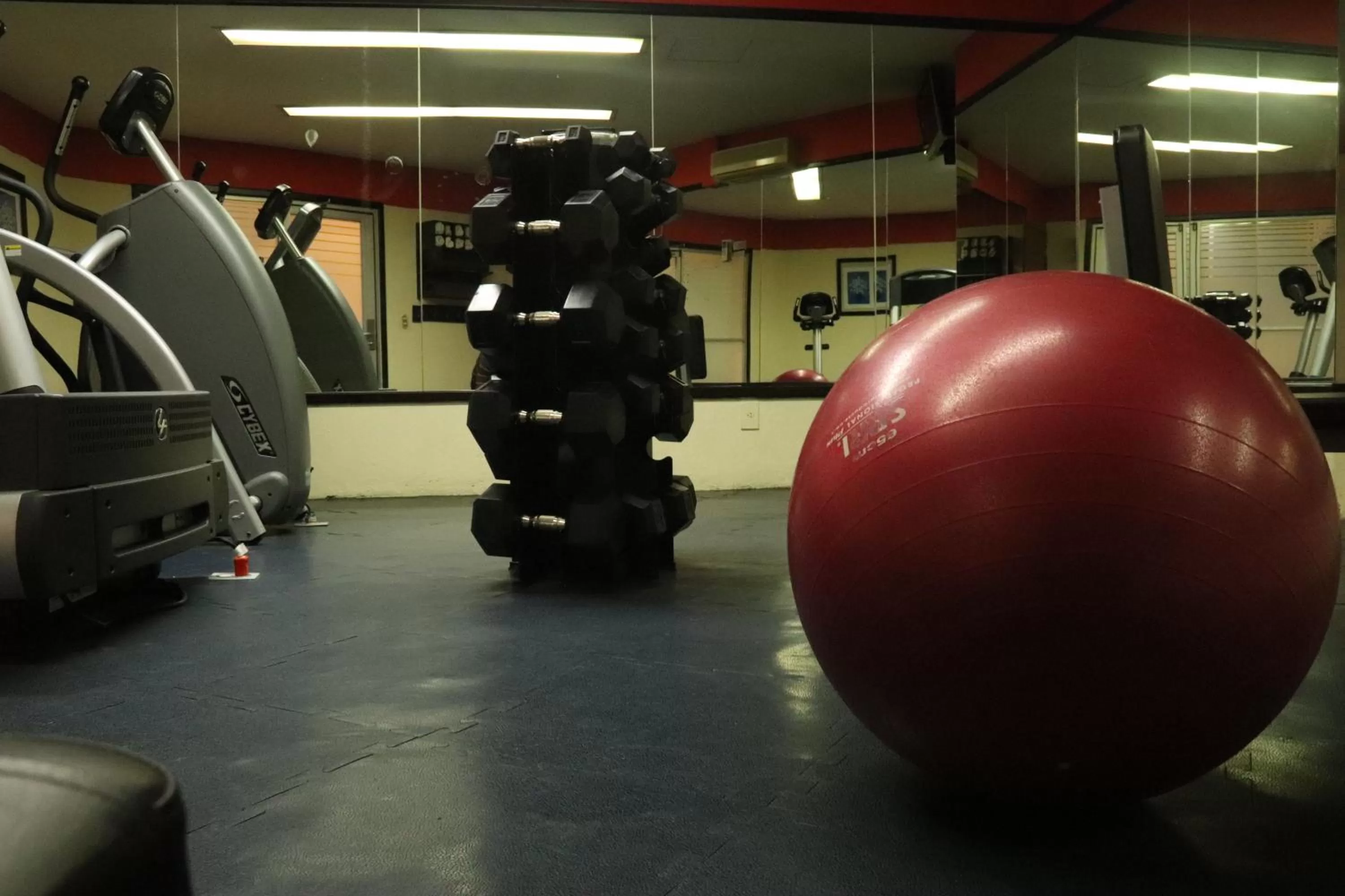 Fitness centre/facilities in Hotel Santa Irene Guadalajara