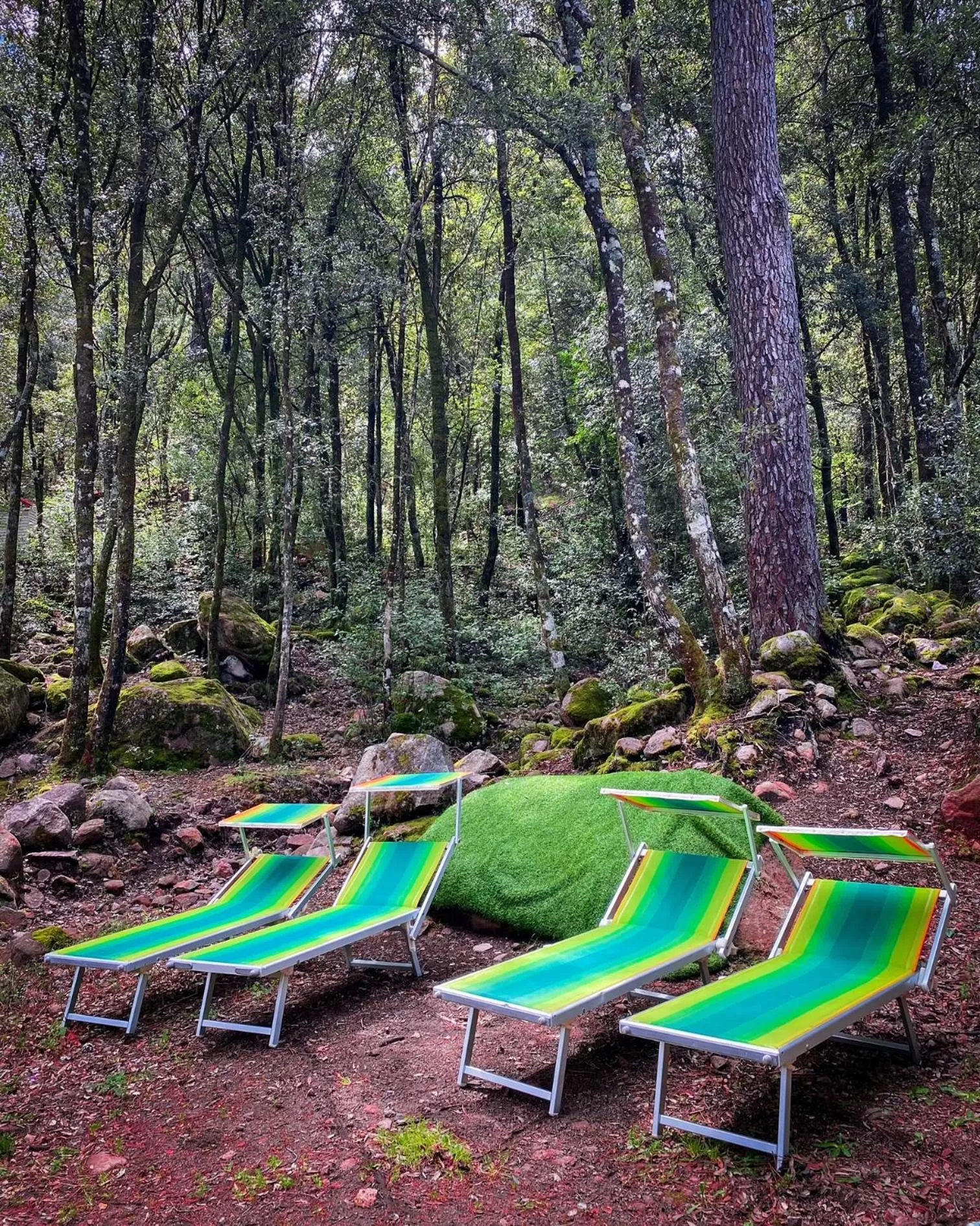 Auberge De La Foret Bonifatu