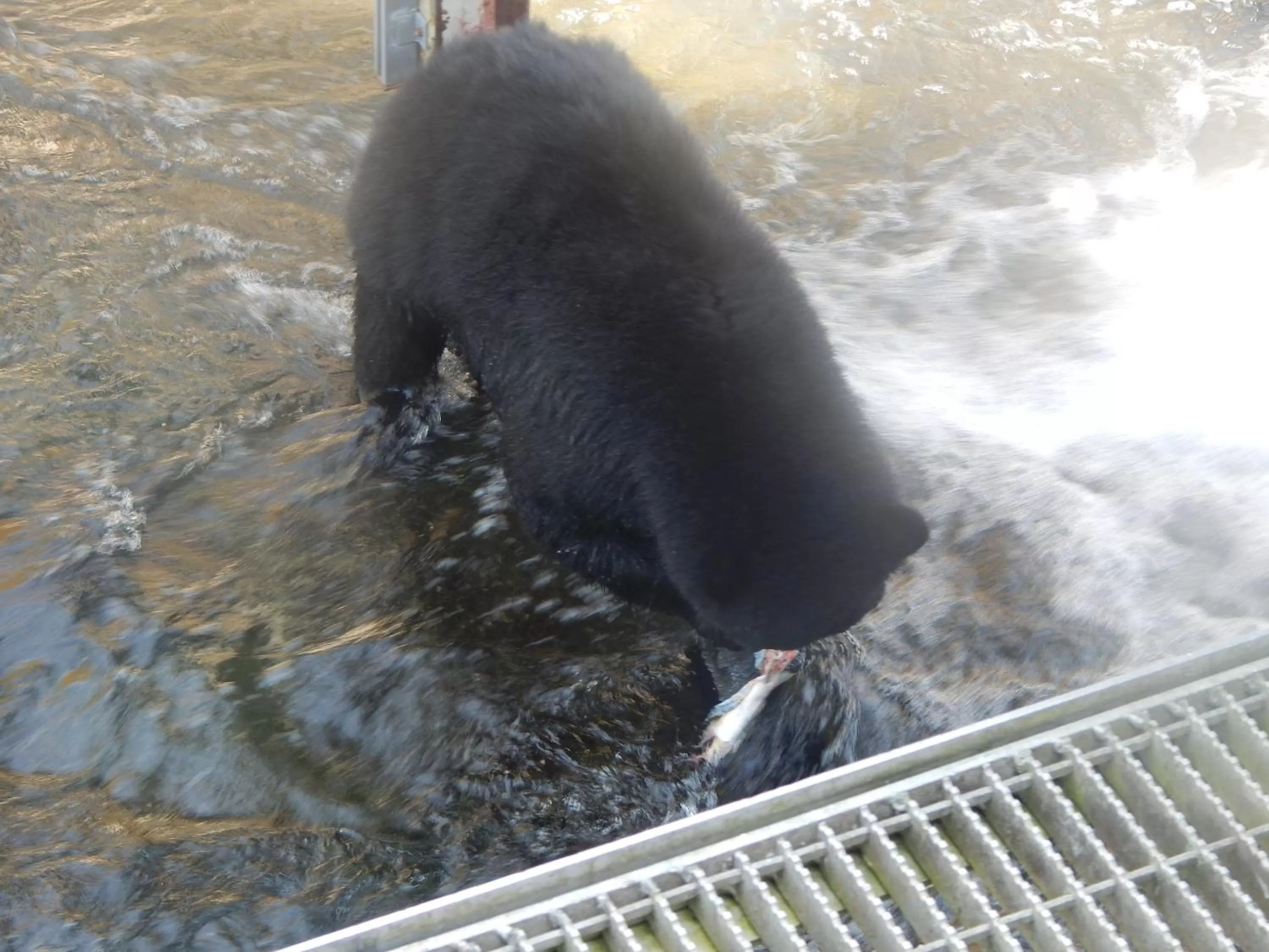 Off site in Money Pennies Bed and Breakfast