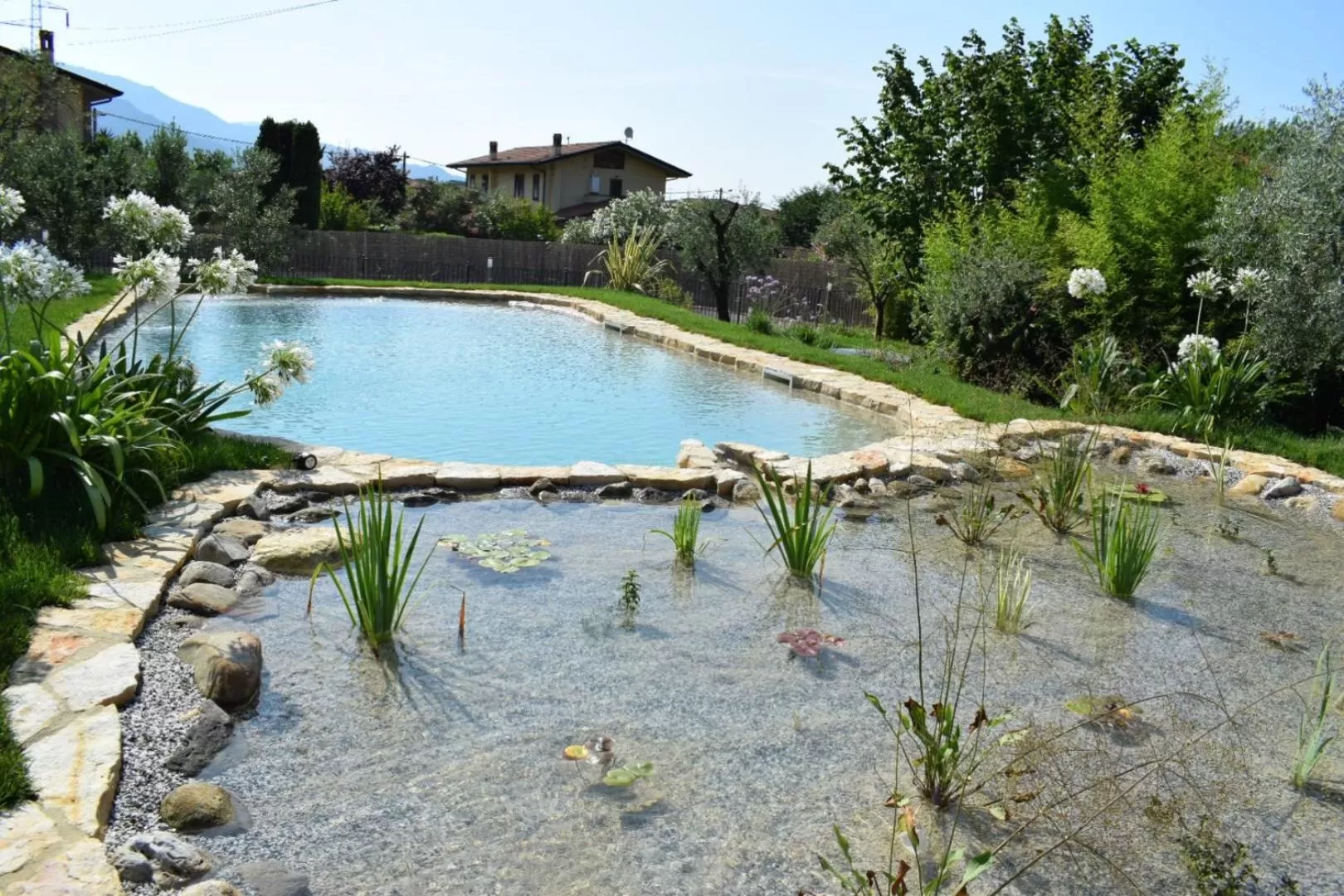Swimming pool in Le Ginestre