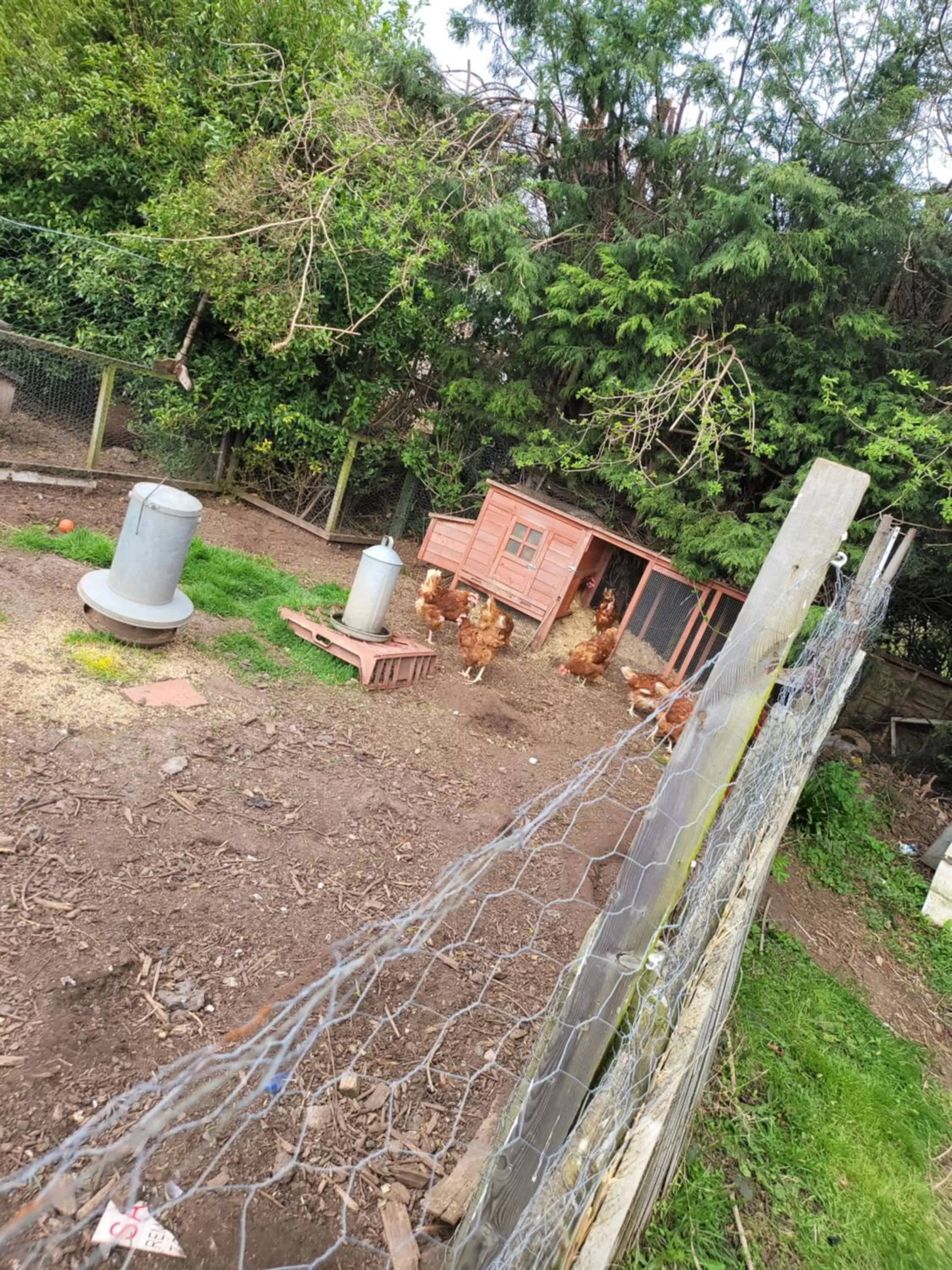 the jackdaw pub SELF CATERING STATIC CARAVAN free breakfast supplied