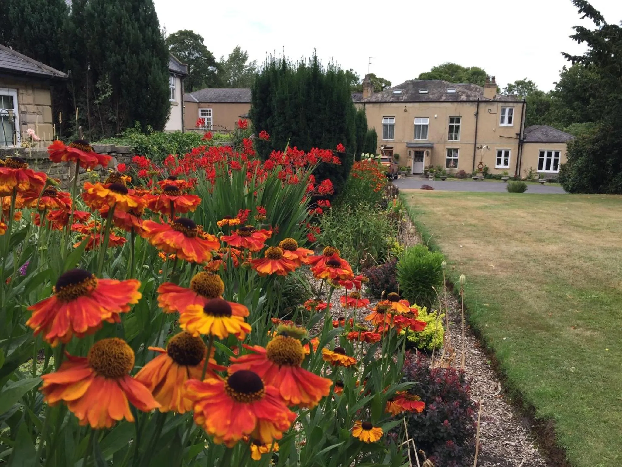 Garden view in Hedgefield House