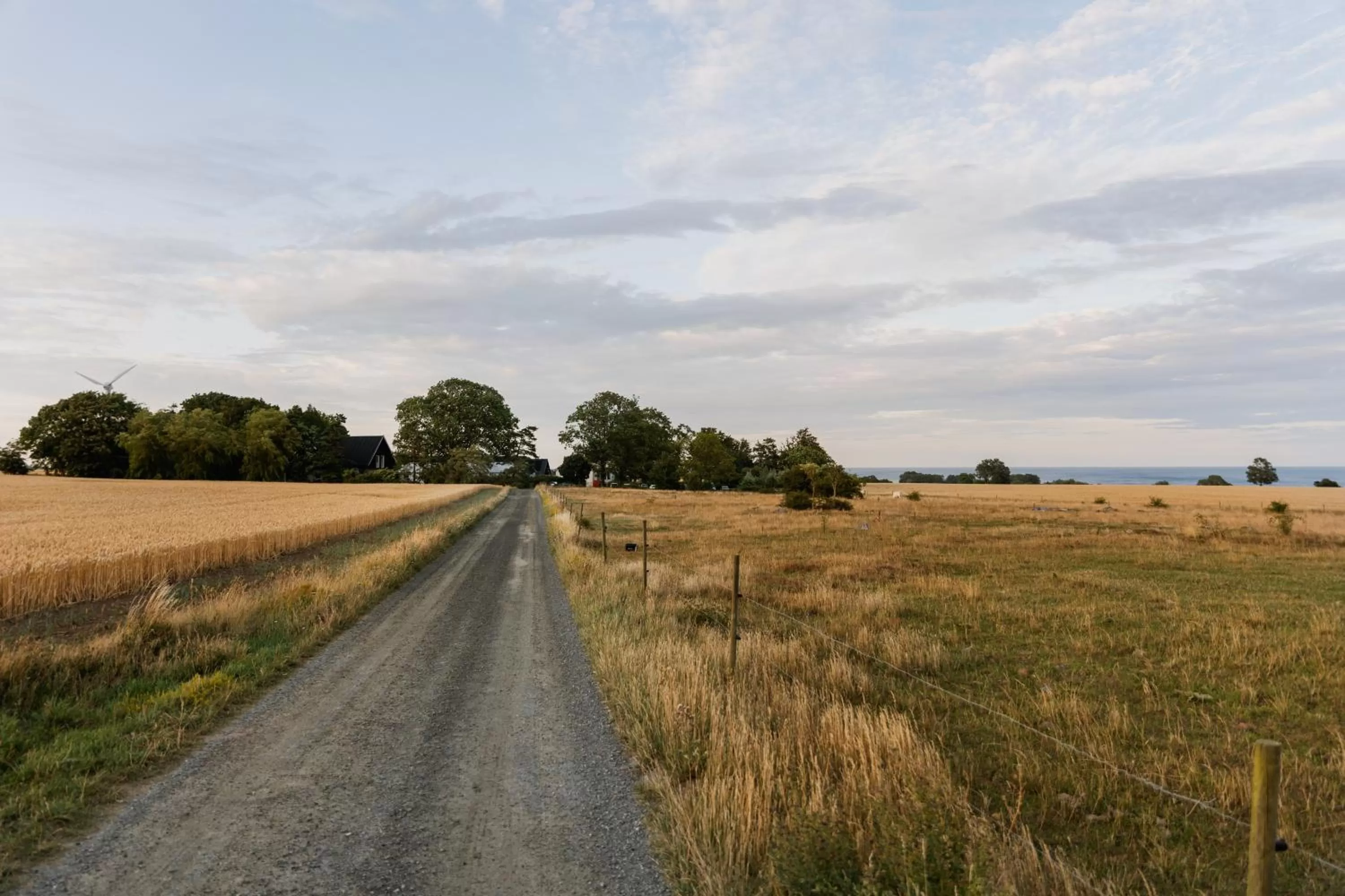 Activities, Garden in Sköllengården