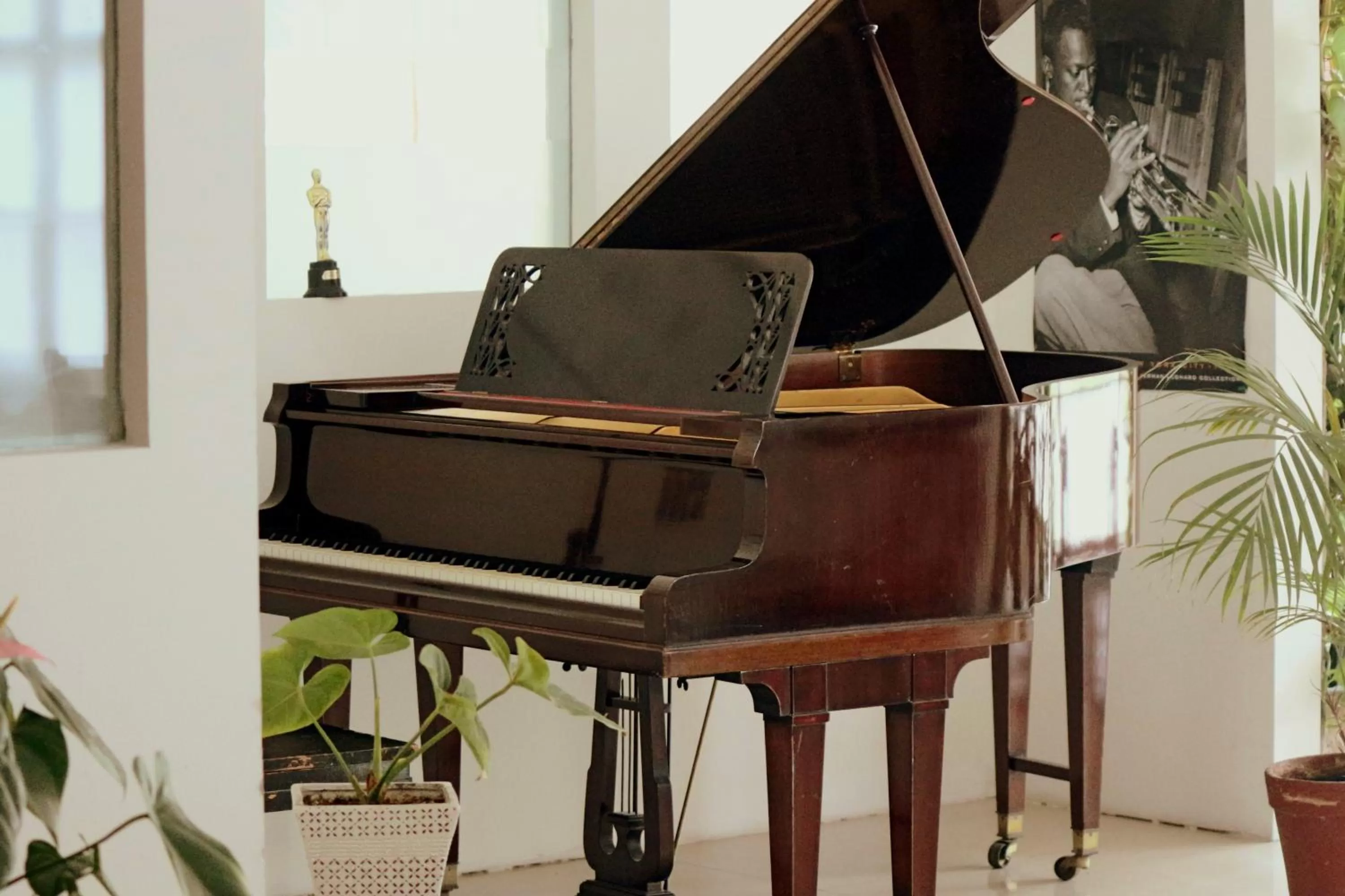 Lounge or bar in Hotel San Martin