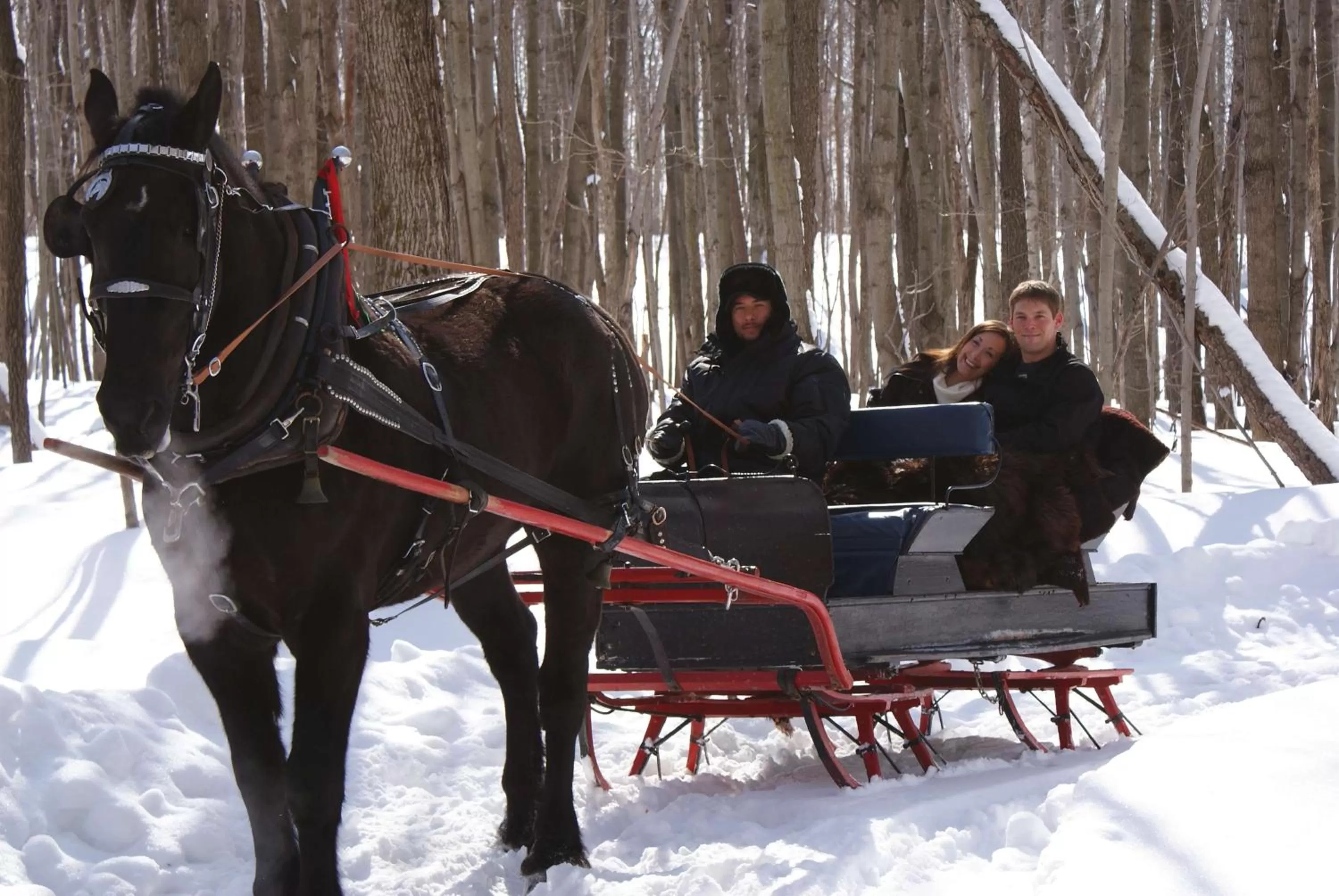 Property building in Hampton Inn & Suites by Hilton Barrie