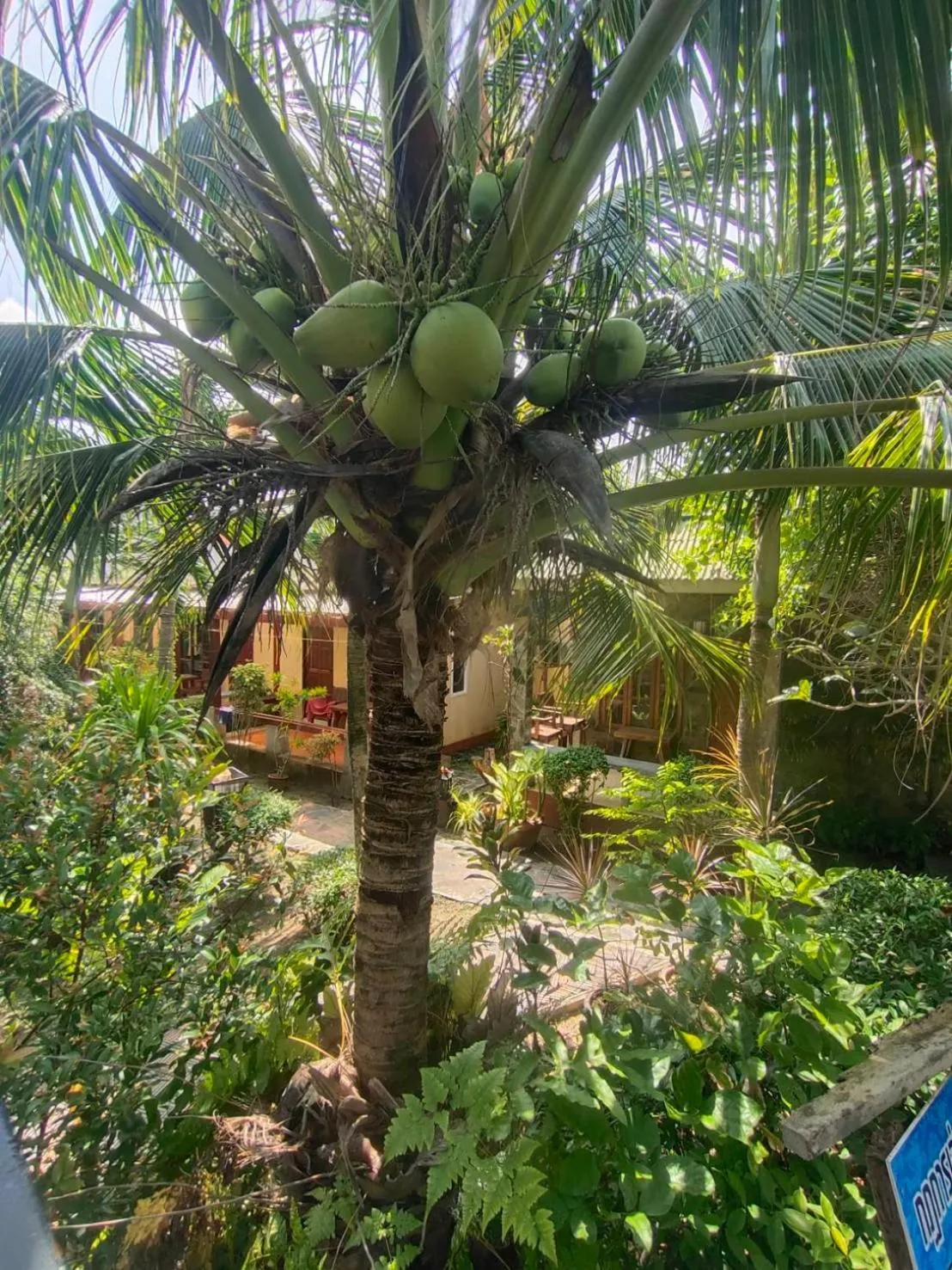 View (from property/room) in Lanta Riviera Beach Resort