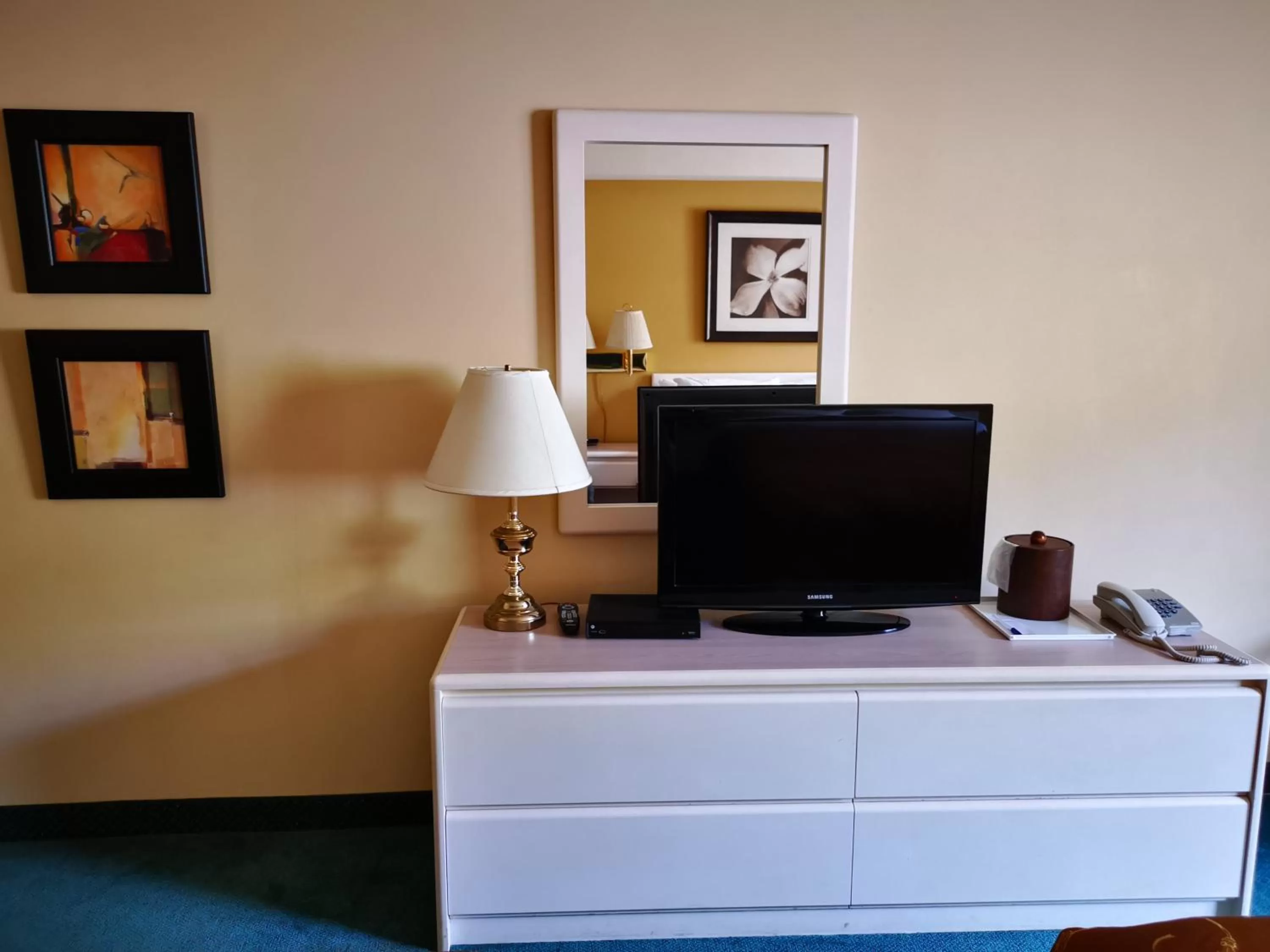 TV and multimedia in MountainView Hotel Merritt